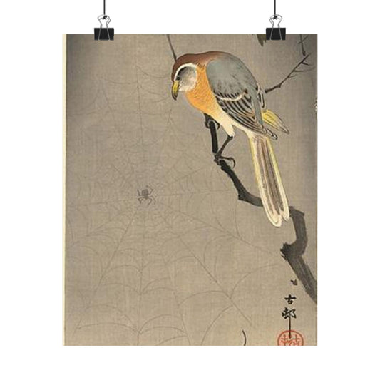 Koson - the-spiderweb, Ohara Koson High Quality Matte Wall Art Poster for Home, Office, Classroom