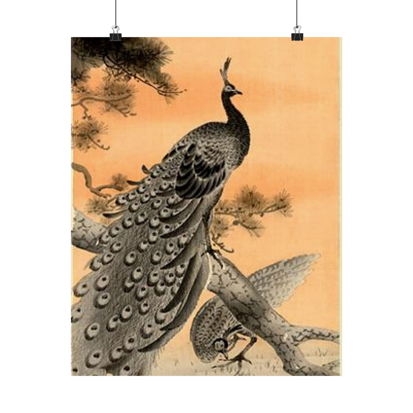 Koson - peacock-and-hen, Ohara Koson High Quality Matte Wall Art Poster for Home, Office, Classroom