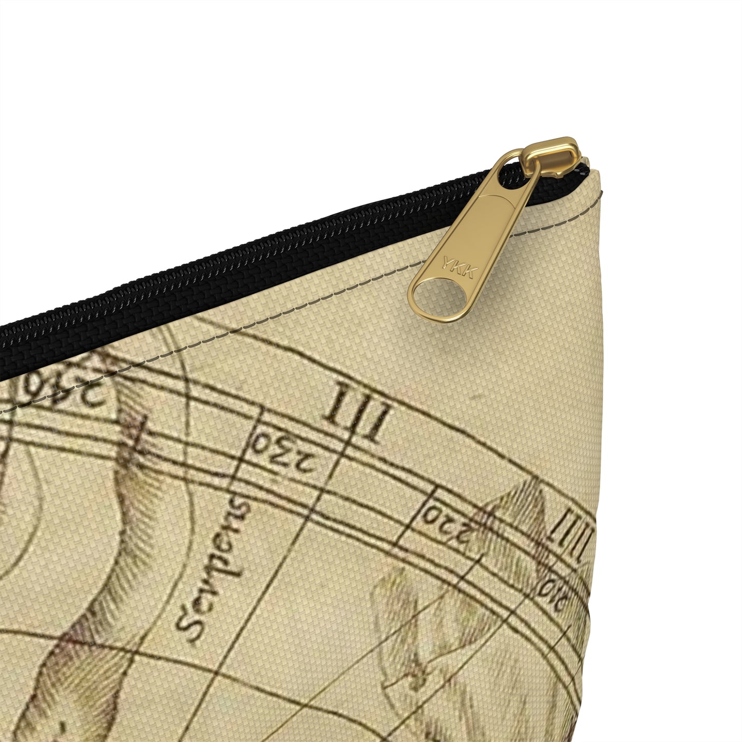 sciathericon stellarum - Drawing. Public domain image. Large Organizer Pouch with Black Zipper