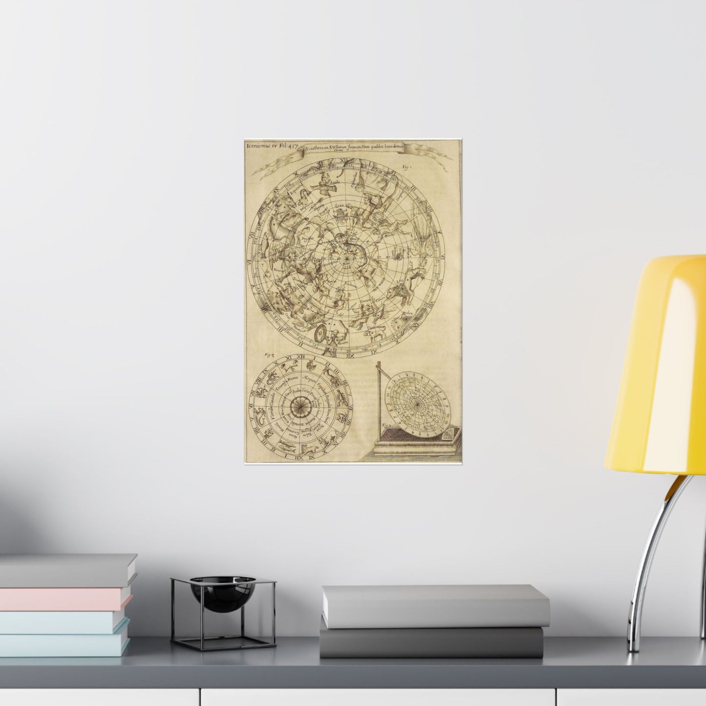 sciathericon stellarum - Drawing. Public domain image. High Quality Matte Wall Art Poster for Home, Office, Classroom