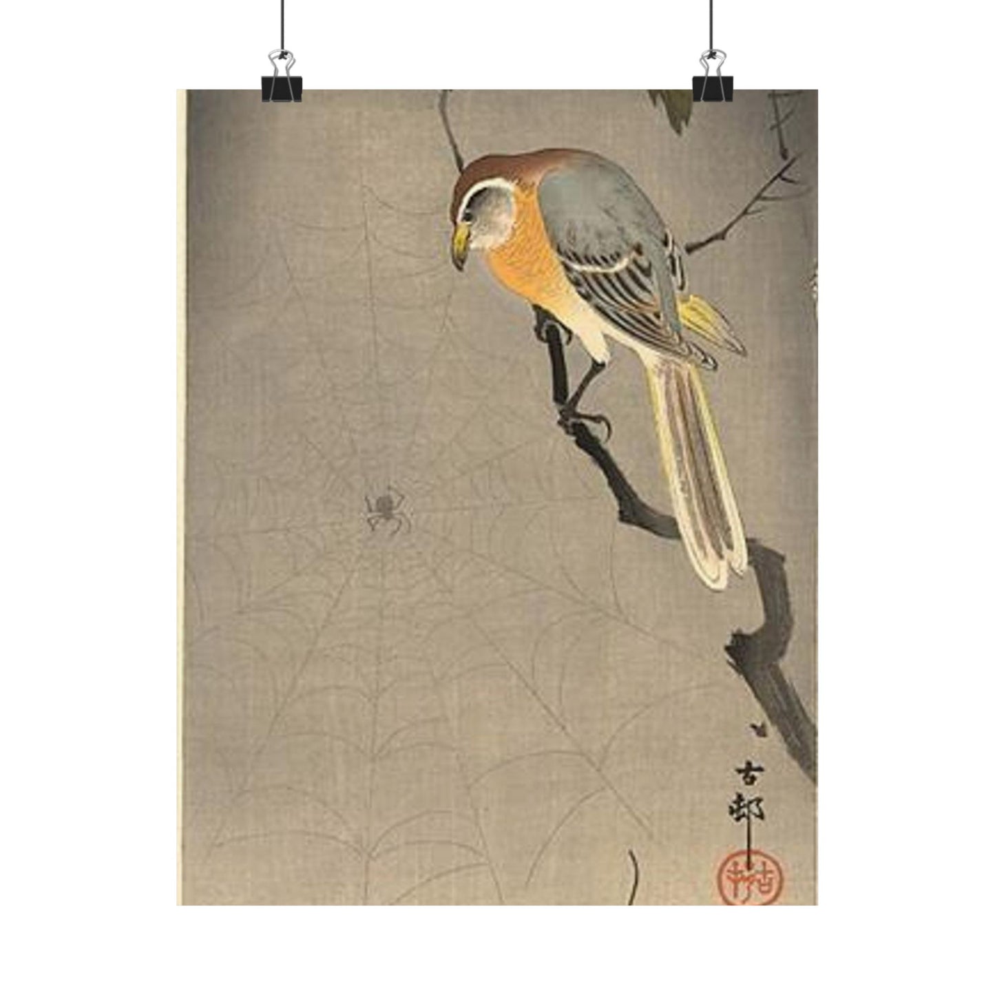 Koson - the-spiderweb, Ohara Koson High Quality Matte Wall Art Poster for Home, Office, Classroom