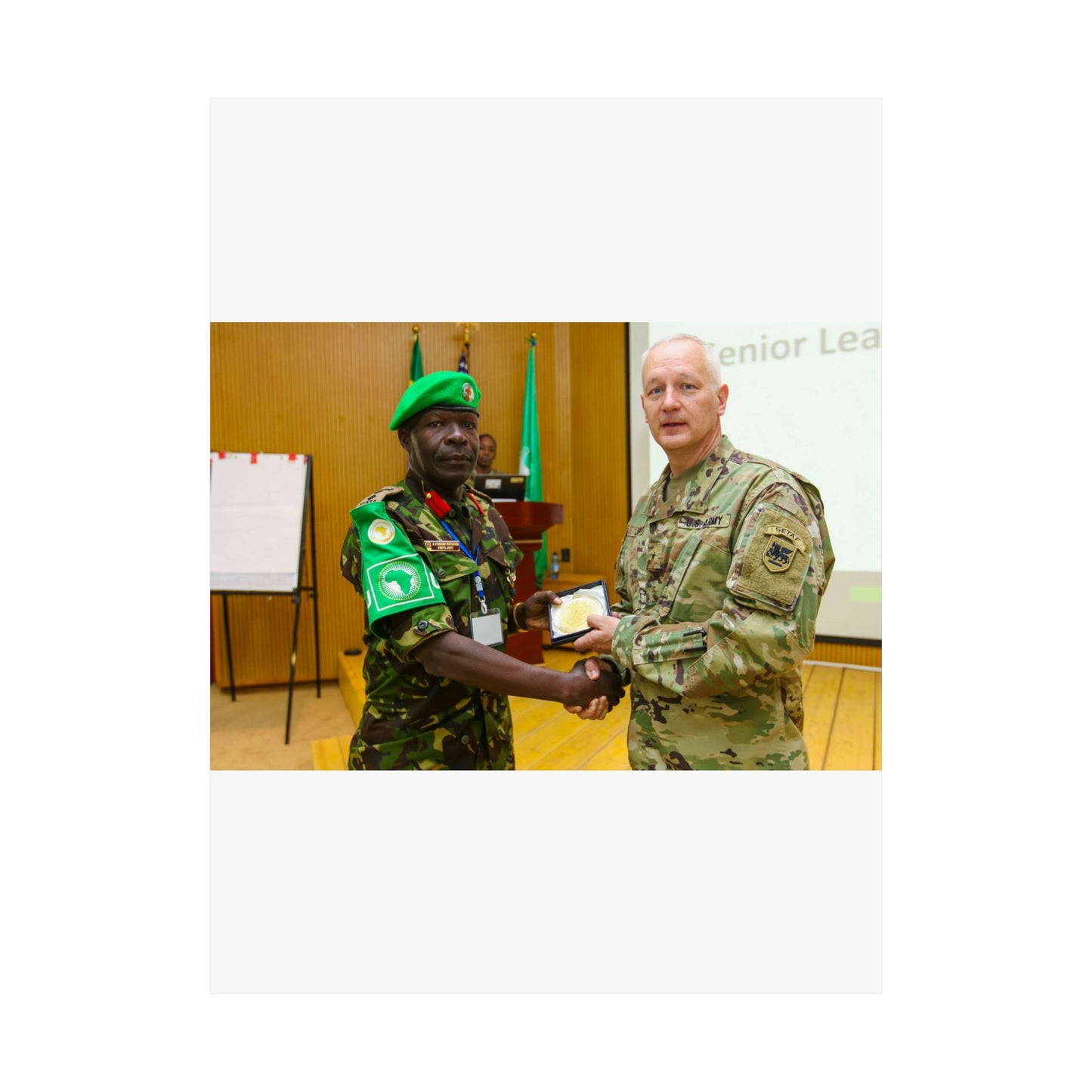 Brig. Gen. Jon Jensen, U.S. Army Africa deputy commander, High Quality Matte Wall Art Poster for Home, Office, Classroom