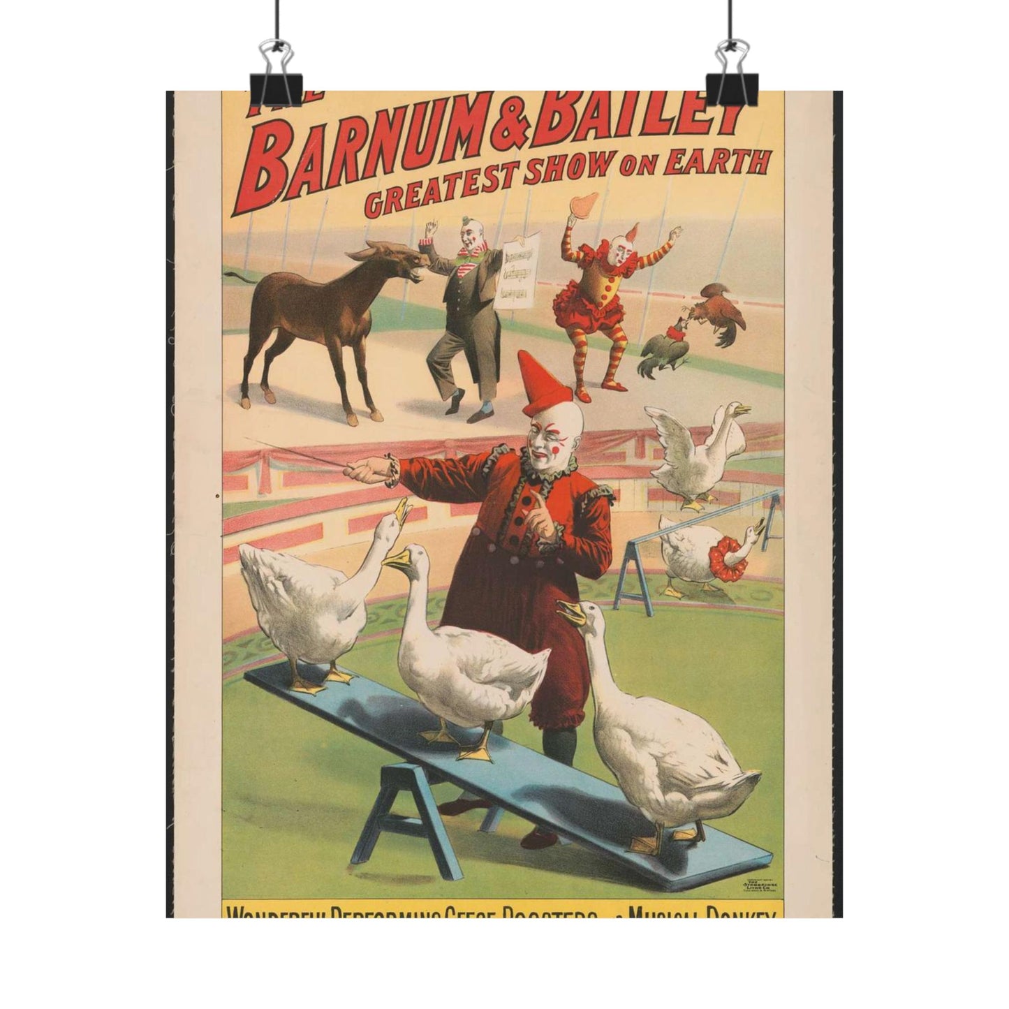 The Barnum & Bailey greatest show on earth. Wonderful performing geese, roosters and musical donkey / Strobridge Litho. Co., Cincinnati & New York. High Quality Matte Wall Art Poster for Home, Office, Classroom