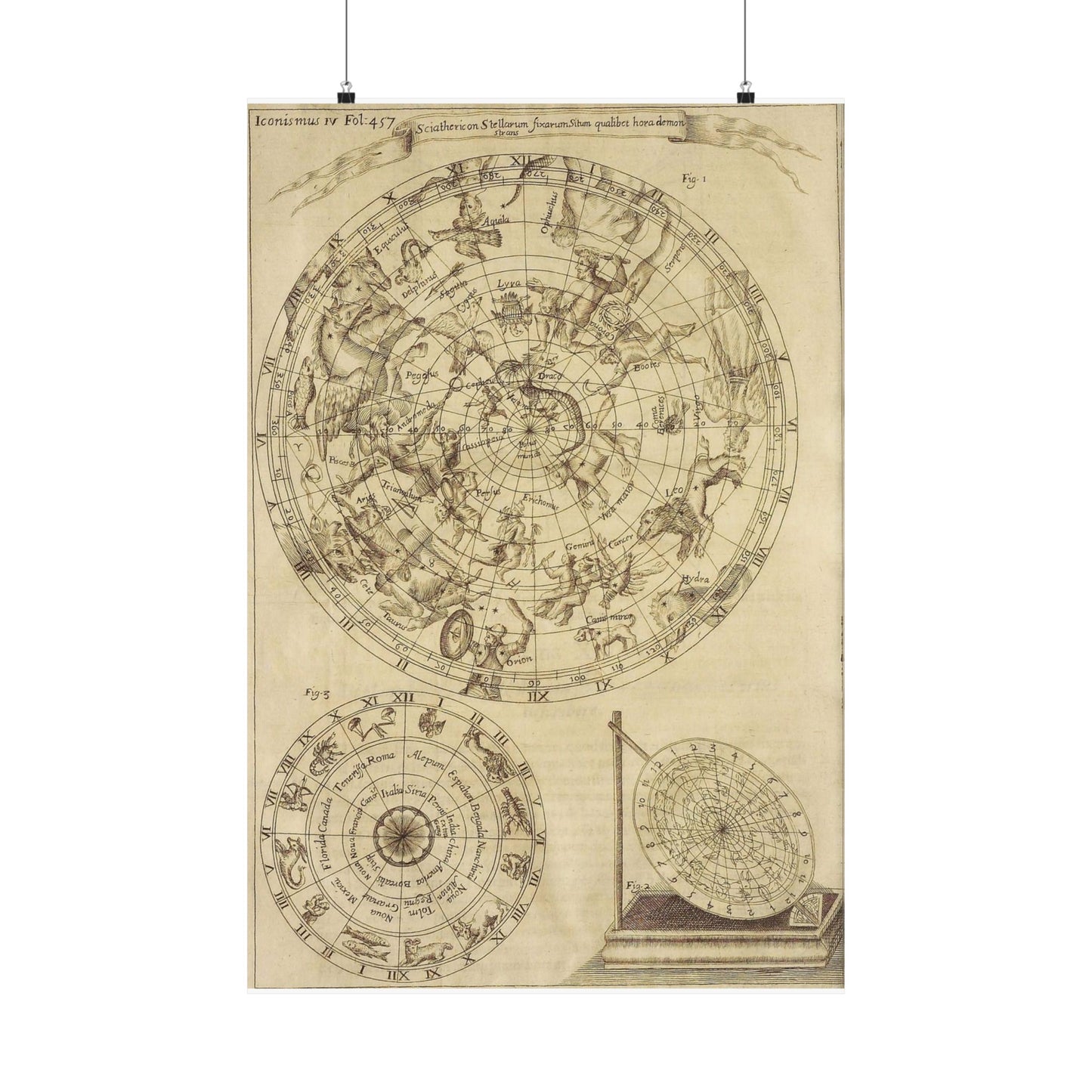 sciathericon stellarum - Drawing. Public domain image. High Quality Matte Wall Art Poster for Home, Office, Classroom