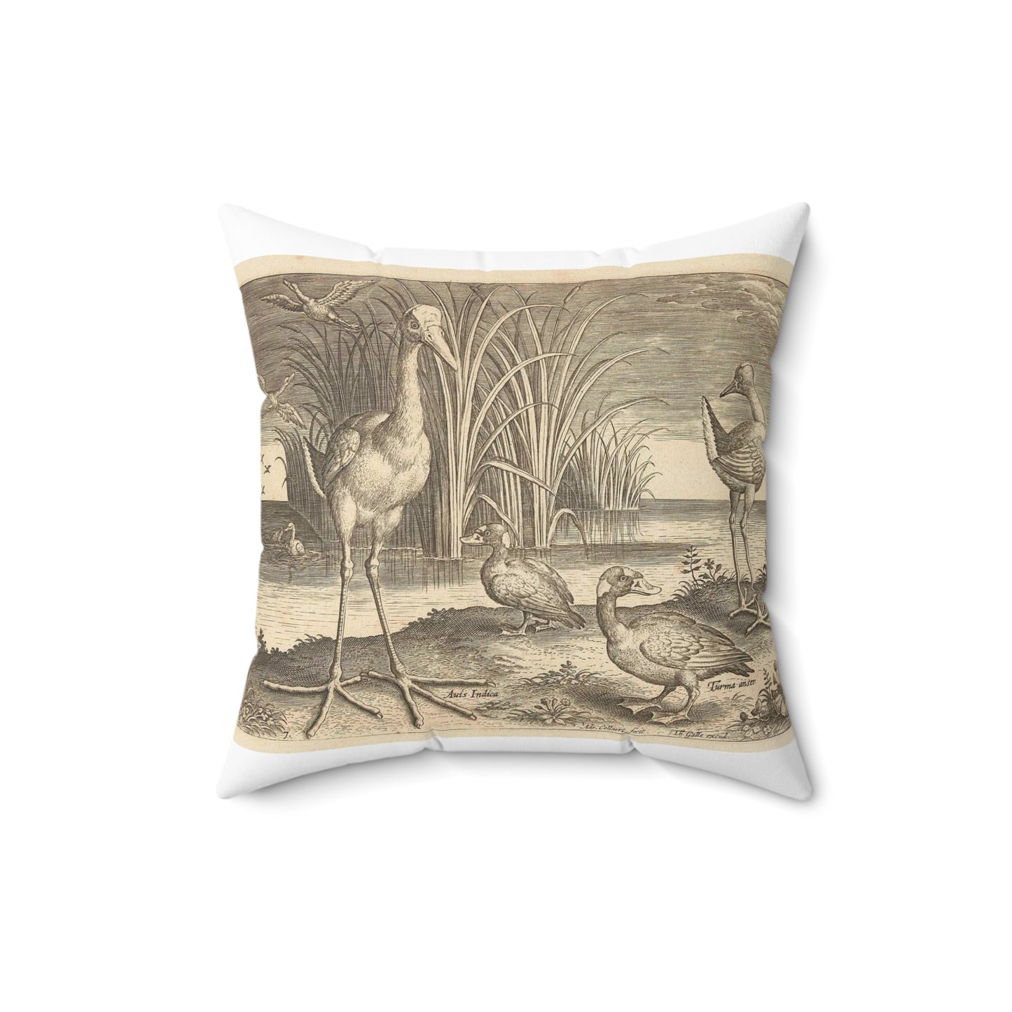 Adriaen Collaert - Enkele watervogels aan een oever Decorative Accent Square Pillow