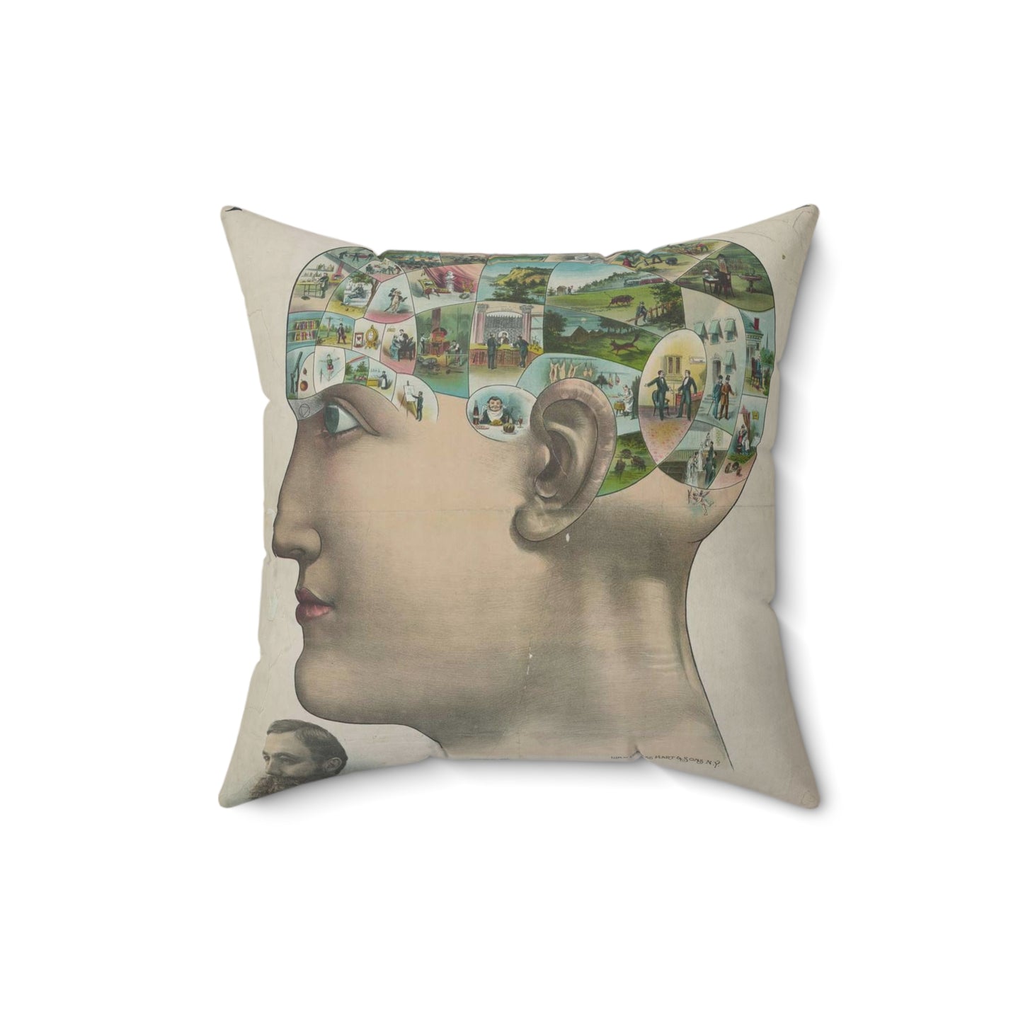 Popular lectures on human nature Decorative Accent Square Pillow