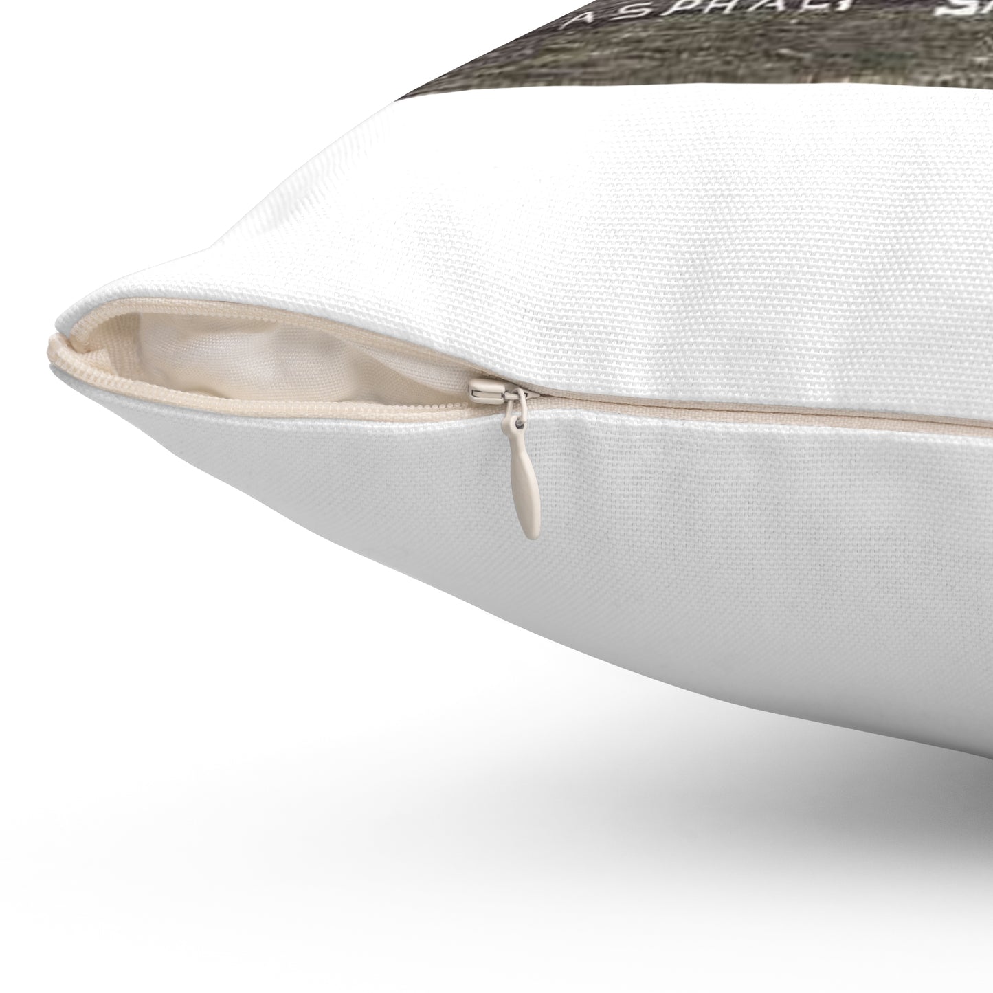 Laying Asphalt, all workers and equipment in view (NBY 10449) Decorative Accent Square Pillow
