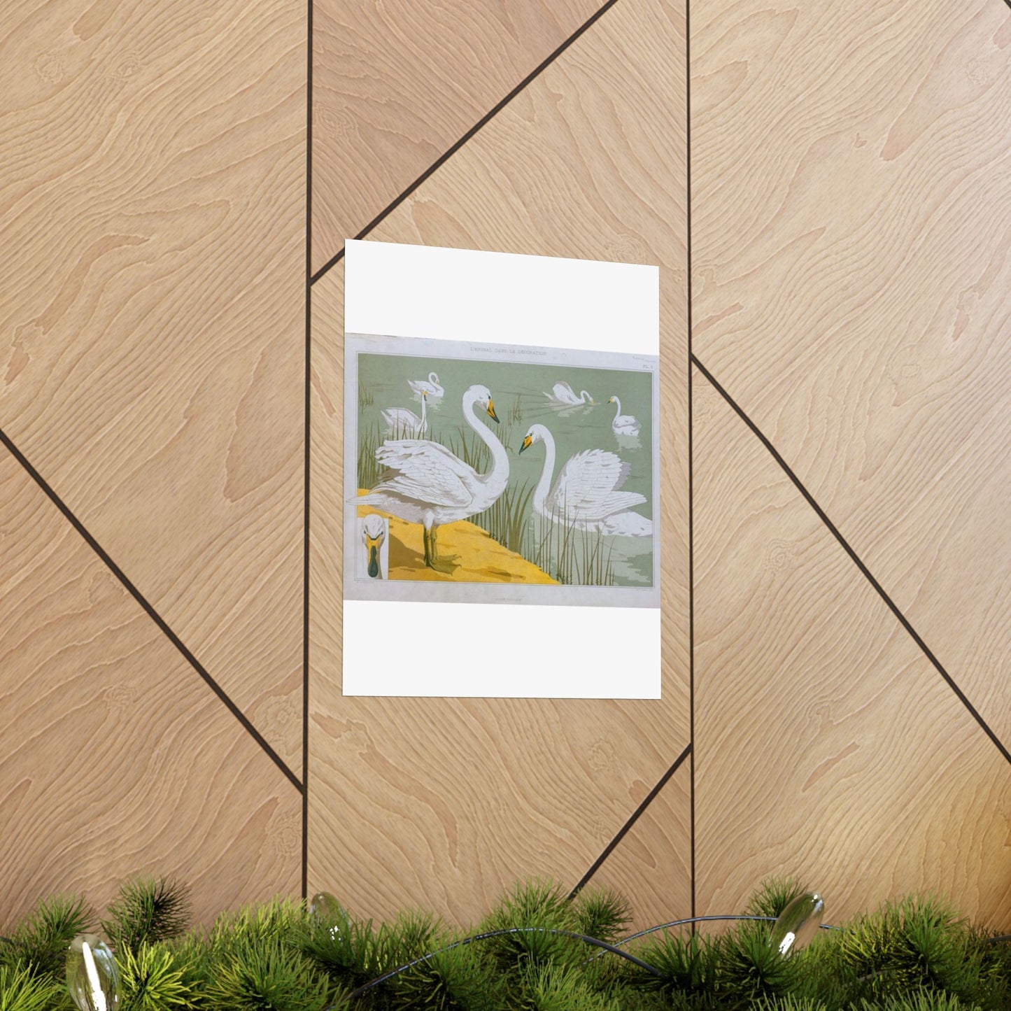 Cygne sauvage - Art nouveau public domain image High Quality Matte Wall Art Poster for Home, Office, Classroom