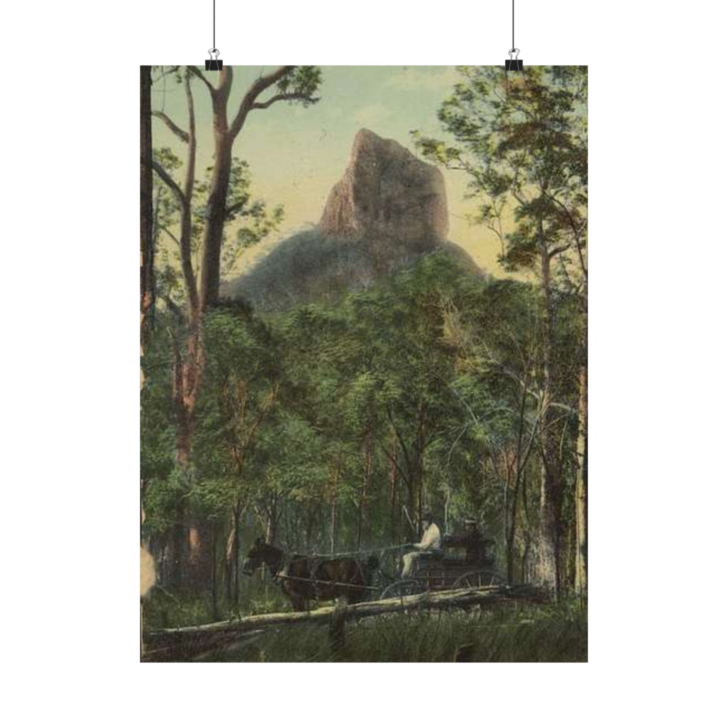 StateLibQld 2 67139 Glasshouse Mountains, Sunshine Coast, Queensland High Quality Matte Wall Art Poster for Home, Office, Classroom