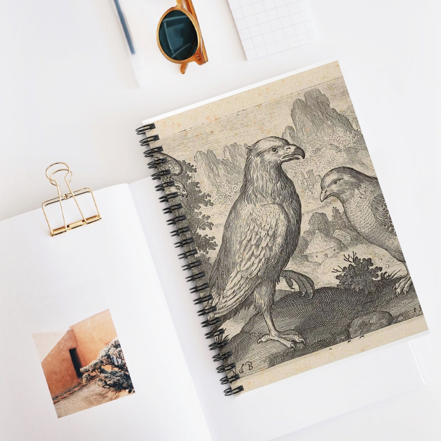 Abraham de Bruyn - Arend en andere roofvogels Spiral Bound Ruled Notebook with Printed Cover