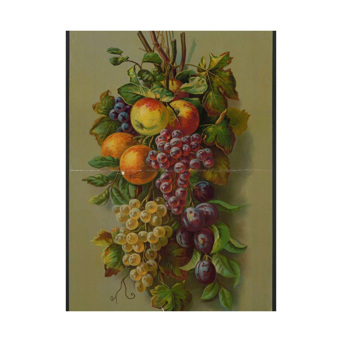 Apples, Plums & grapes, no. 8266 High Quality Matte Wall Art Poster for Home, Office, Classroom