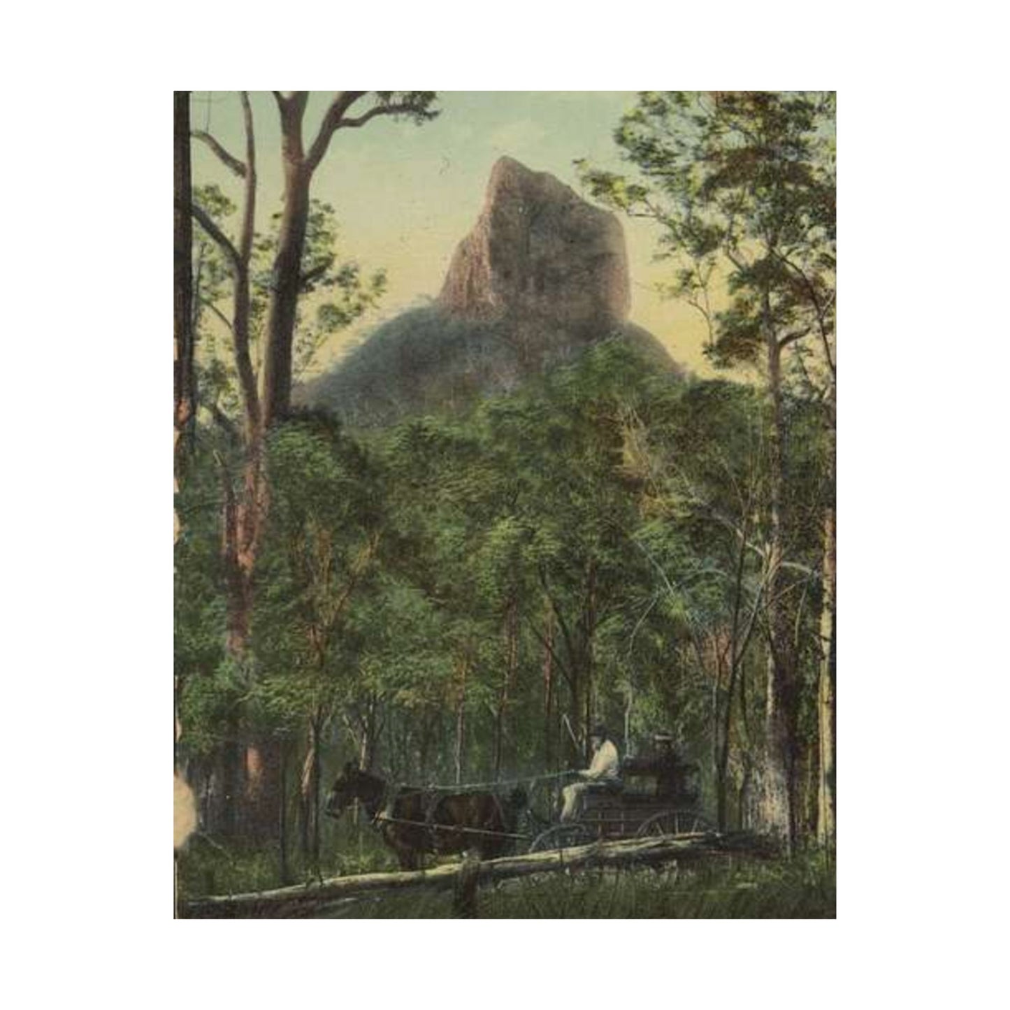 StateLibQld 2 67139 Glasshouse Mountains, Sunshine Coast, Queensland High Quality Matte Wall Art Poster for Home, Office, Classroom