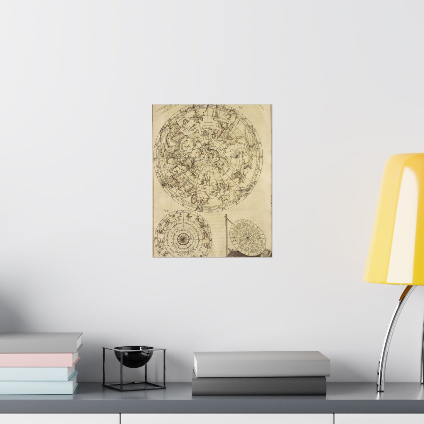 sciathericon stellarum - Drawing. Public domain image. High Quality Matte Wall Art Poster for Home, Office, Classroom