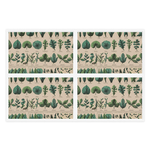 School and family charts, accompanied by a manual of object lessons and elementary instruction, by Marcius Willson and N.A. Calkins. No. XIX. Botanical: forms of leaves, stems, roots, and flowers Laminated UV Protective Vinyl Stickers