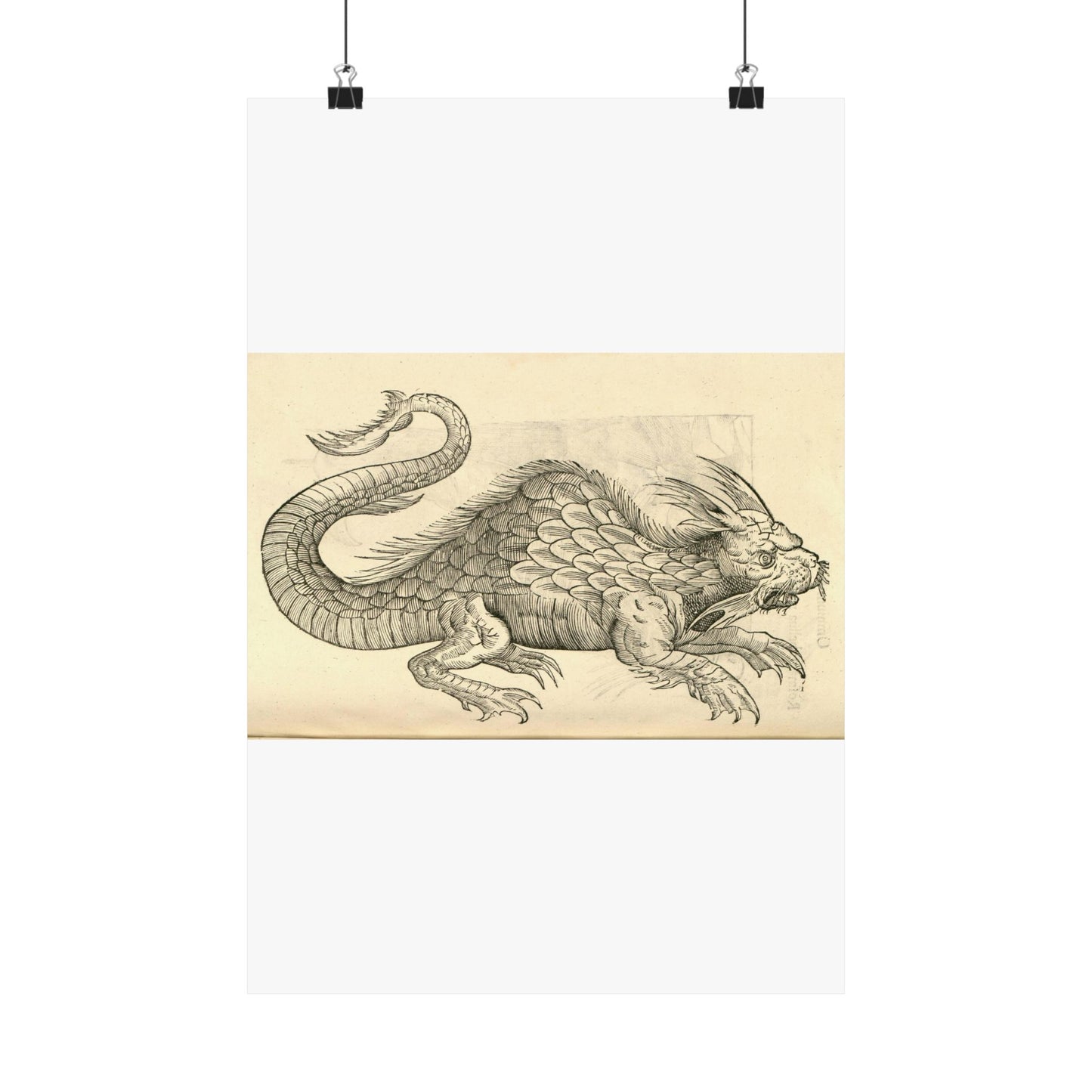 Orobonis Piscis effigies - Public domain portrait drawing  High Quality Matte Wall Art Poster for Home, Office, Classroom