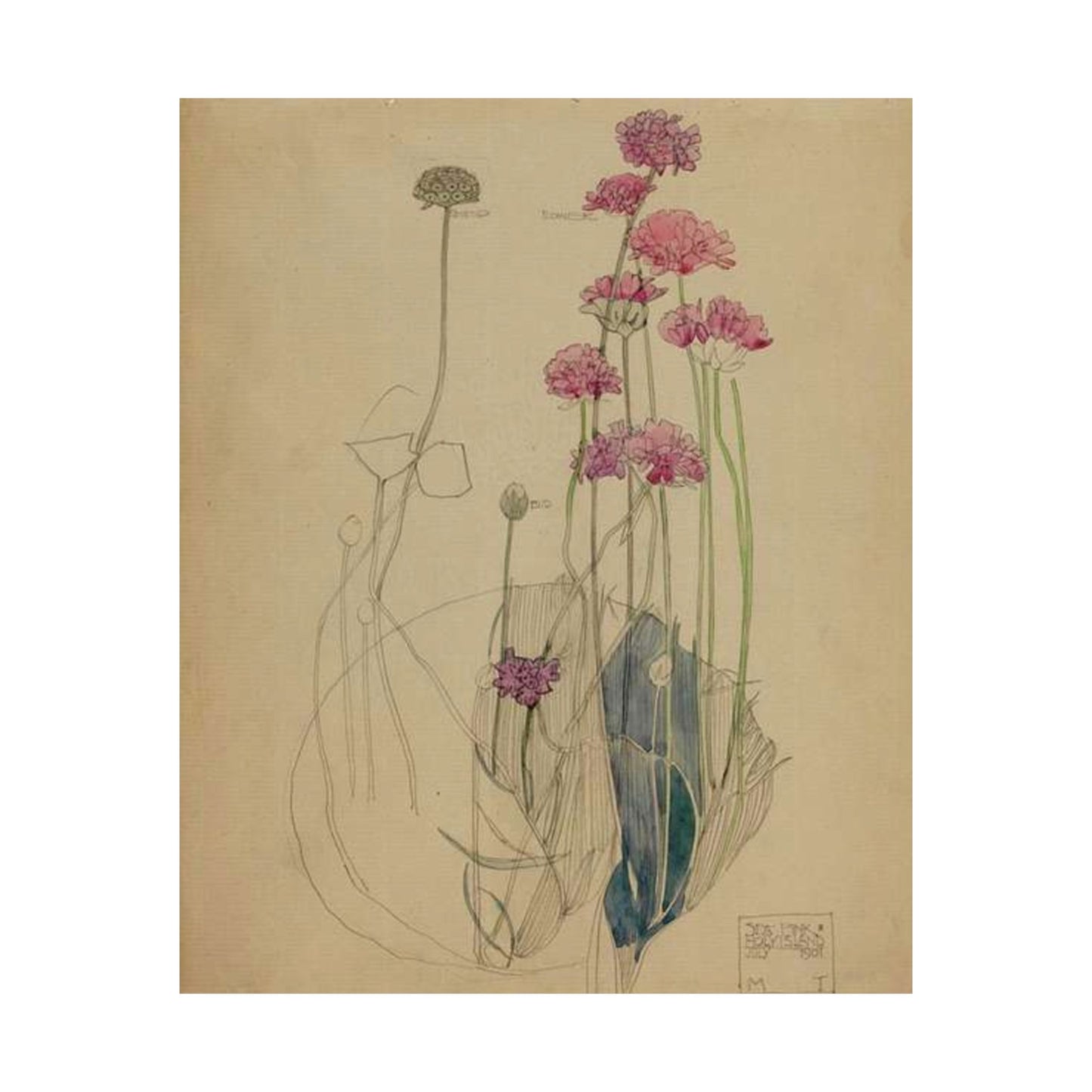 Sea Pink - Holy Island - Charles Rennie Mackintosh - 1901 High Quality Matte Wall Art Poster for Home, Office, Classroom