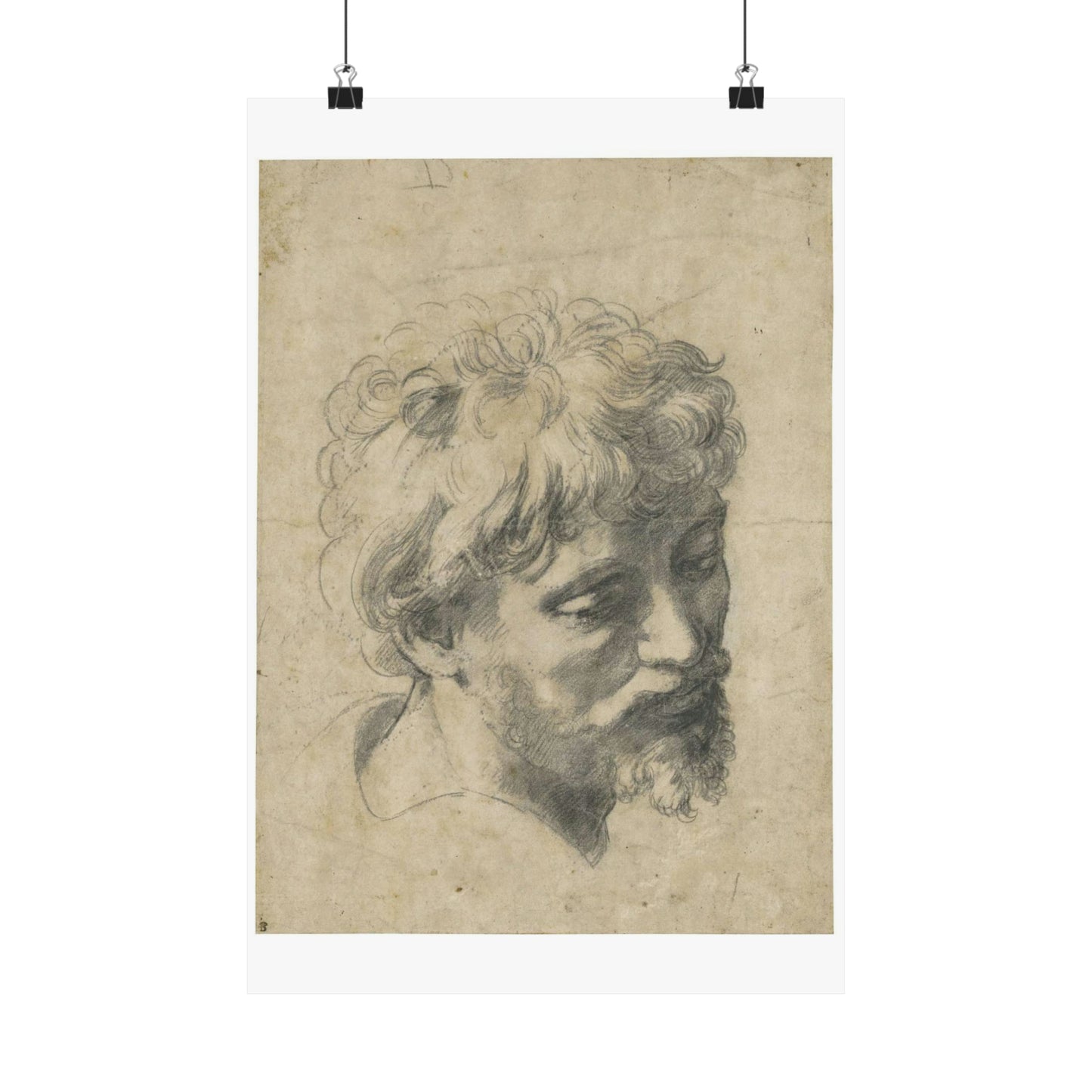 Raffaello Sanzio - Head of a Young Apostle, lot.52 High Quality Matte Wall Art Poster for Home, Office, Classroom