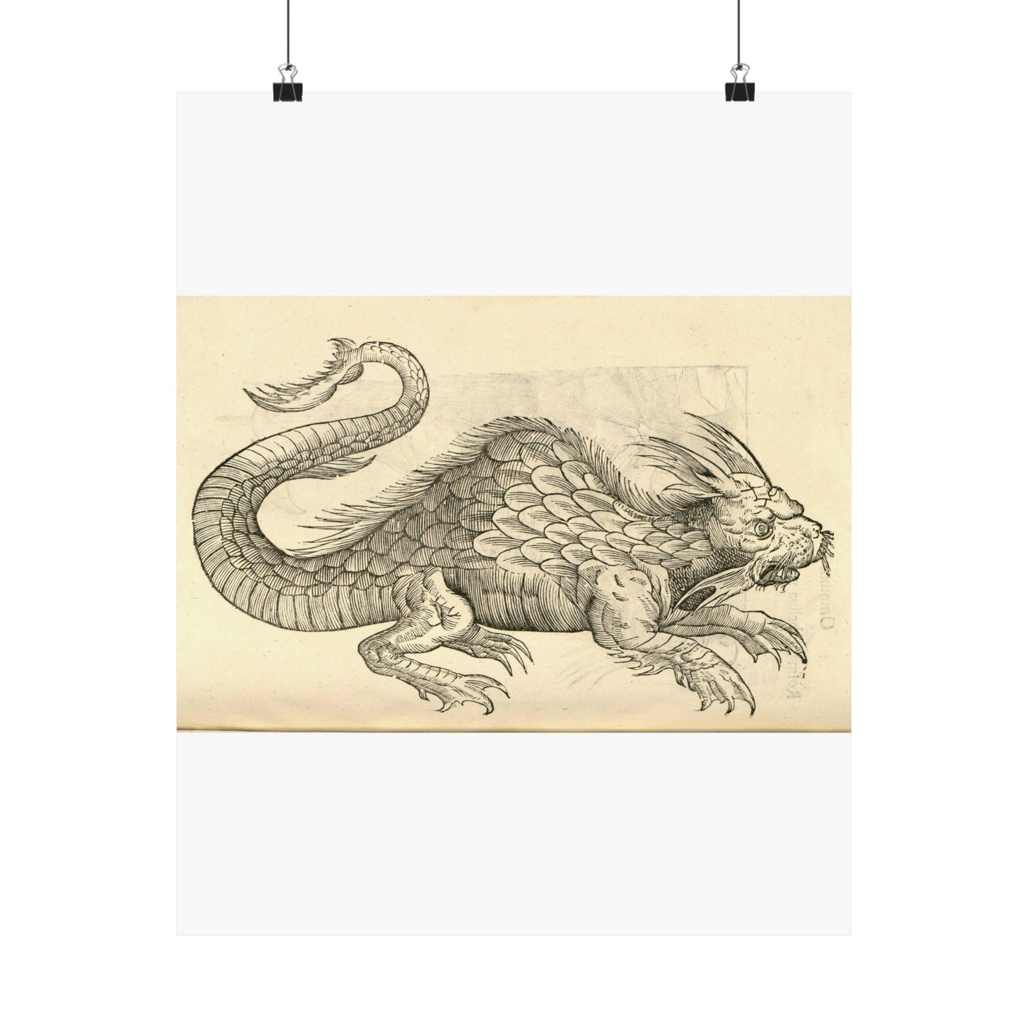 Orobonis Piscis effigies - Public domain portrait drawing  High Quality Matte Wall Art Poster for Home, Office, Classroom