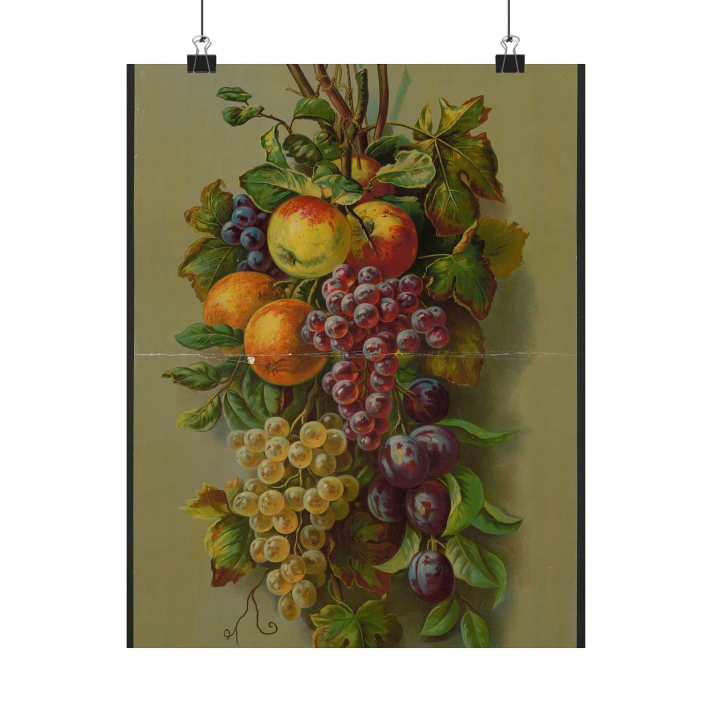 Apples, Plums & grapes, no. 8266 High Quality Matte Wall Art Poster for Home, Office, Classroom