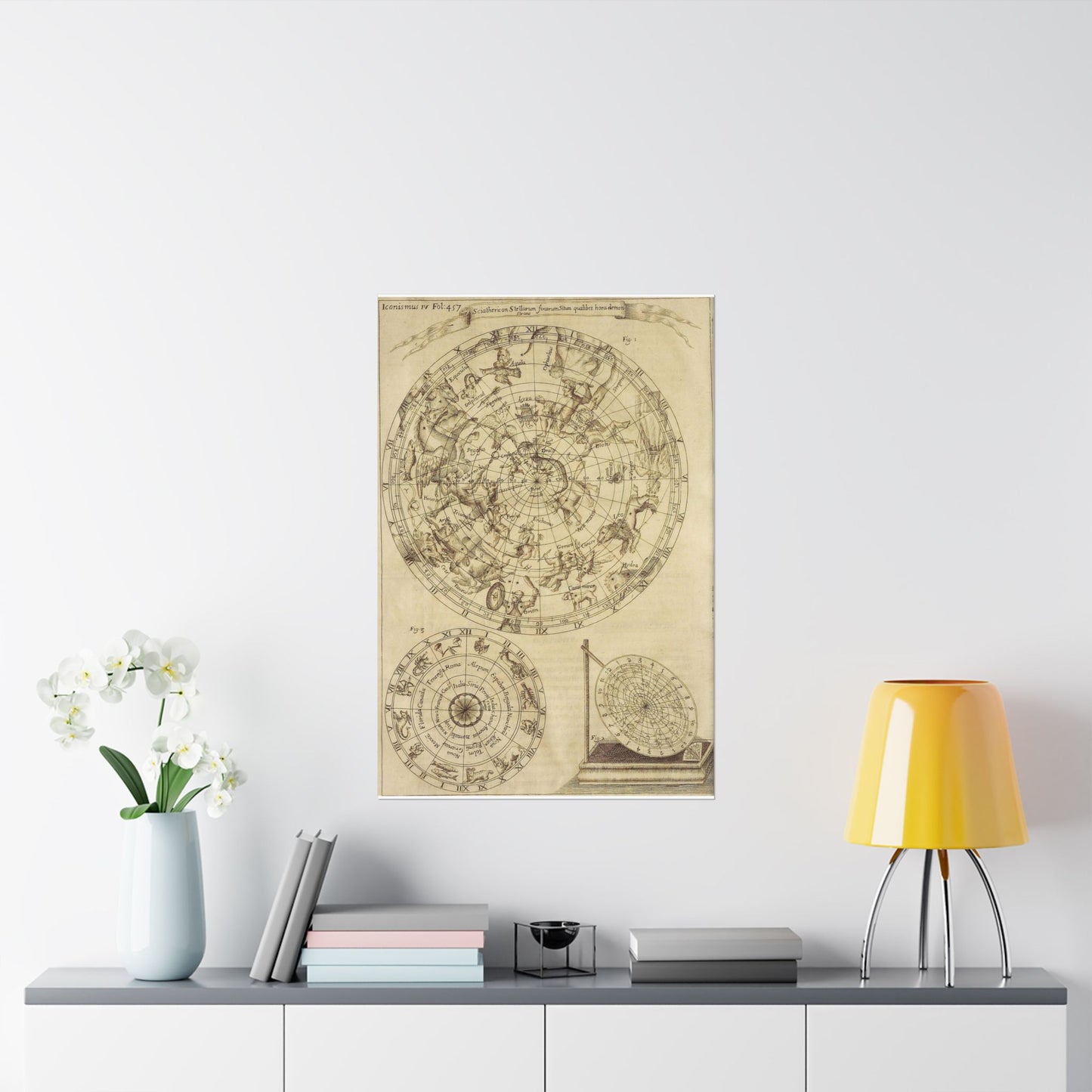 sciathericon stellarum - Drawing. Public domain image. High Quality Matte Wall Art Poster for Home, Office, Classroom