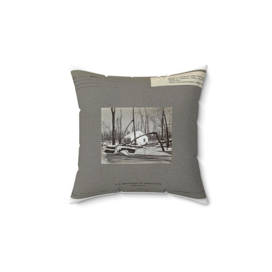 Injured Trees - Connecticut, National Forest Service photograph. Decorative Accent Square Pillow