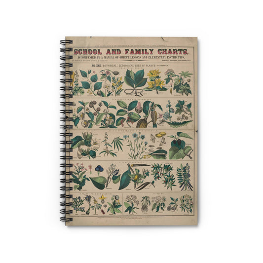 School and family charts, accompanied by a manual of object lessons and elementary instruction, by Marcius Willson and N.A. Calkins. No. XXII. Botanical: economical uses of plants-continued Spiral Bound Ruled Notebook with Printed Cover