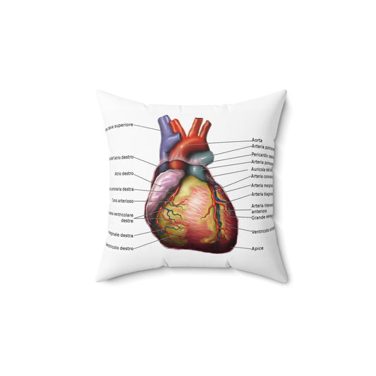 Anatomia del cuore Decorative Accent Square Pillow