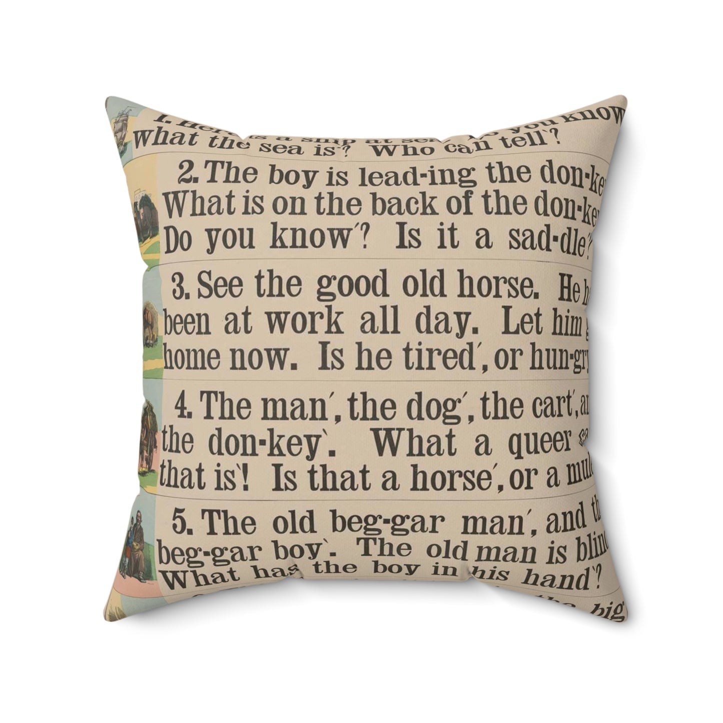 School and family charts, accompanied by a manual of object lessons and elementary instruction, by Marcius Willson and N.A. Calkins. No. V. Reading: fourth lessons Decorative Accent Square Pillow