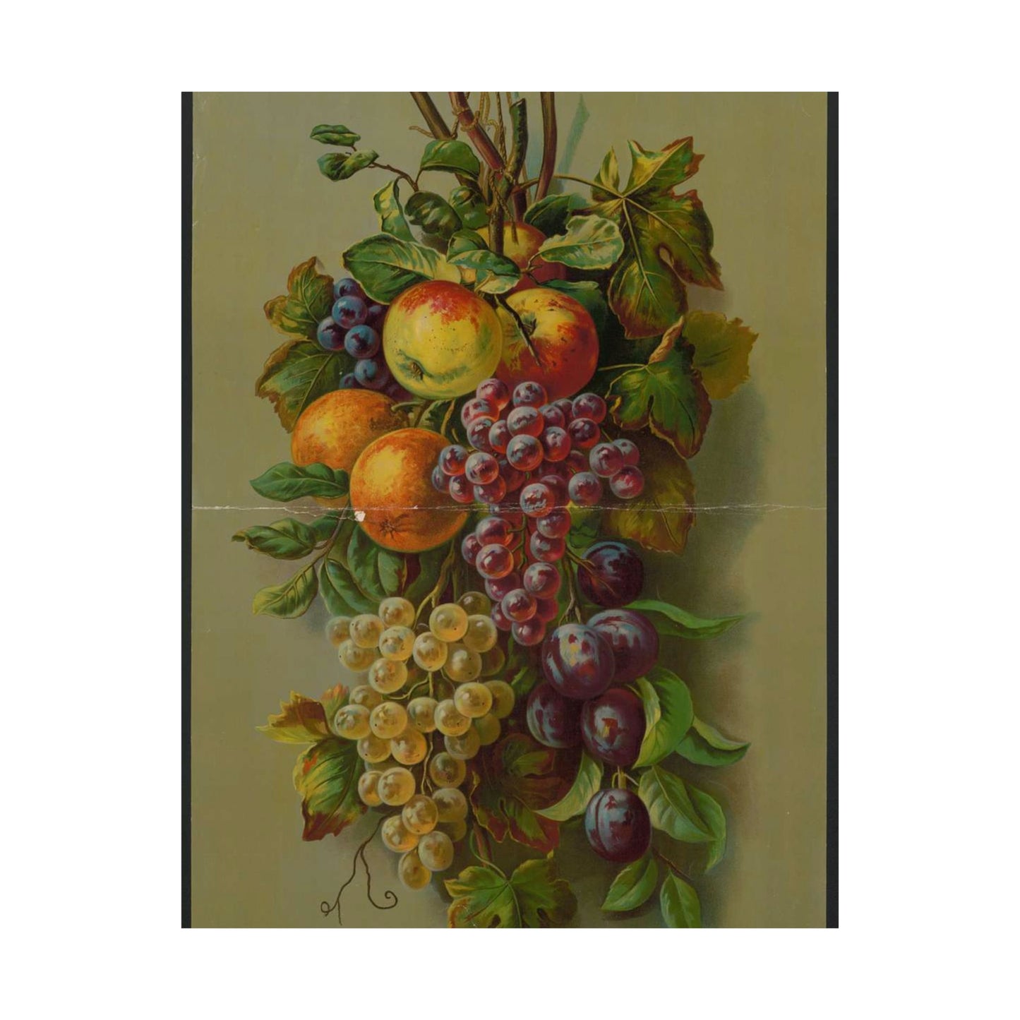 Apples, Plums & grapes, no. 8266 High Quality Matte Wall Art Poster for Home, Office, Classroom