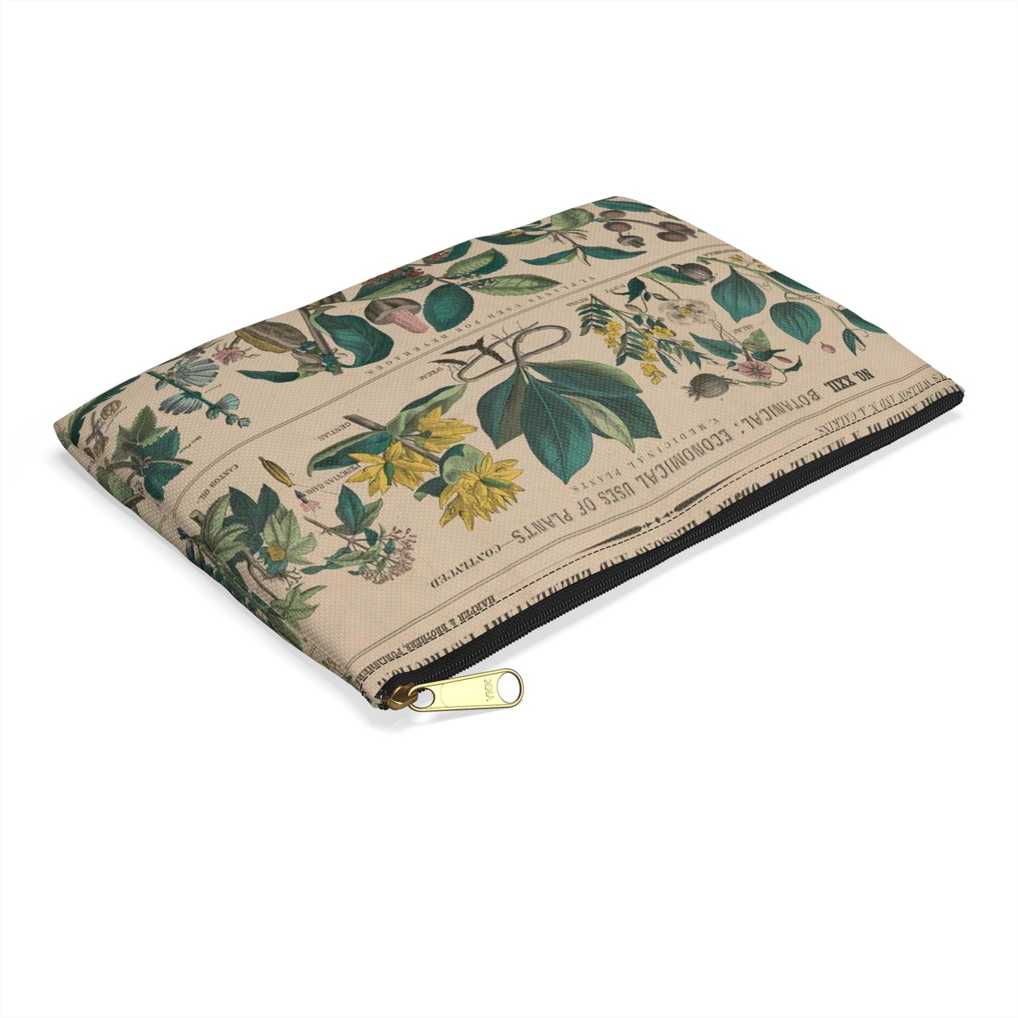 School and family charts, accompanied by a manual of object lessons and elementary instruction, by Marcius Willson and N.A. Calkins. No. XXII. Botanical: economical uses of plants-continued Large Organizer Pouch with Black Zipper
