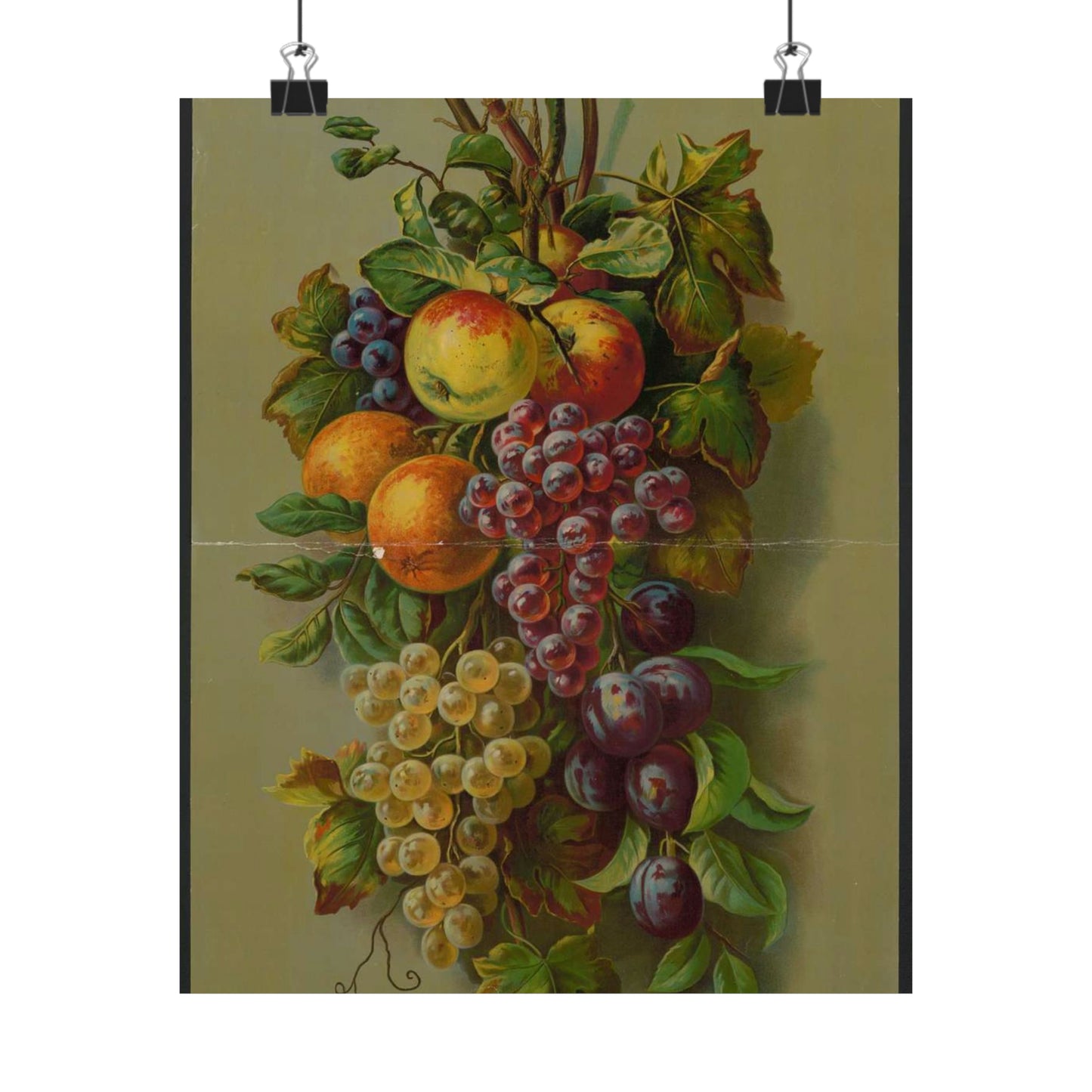 Apples, Plums & grapes, no. 8266 High Quality Matte Wall Art Poster for Home, Office, Classroom