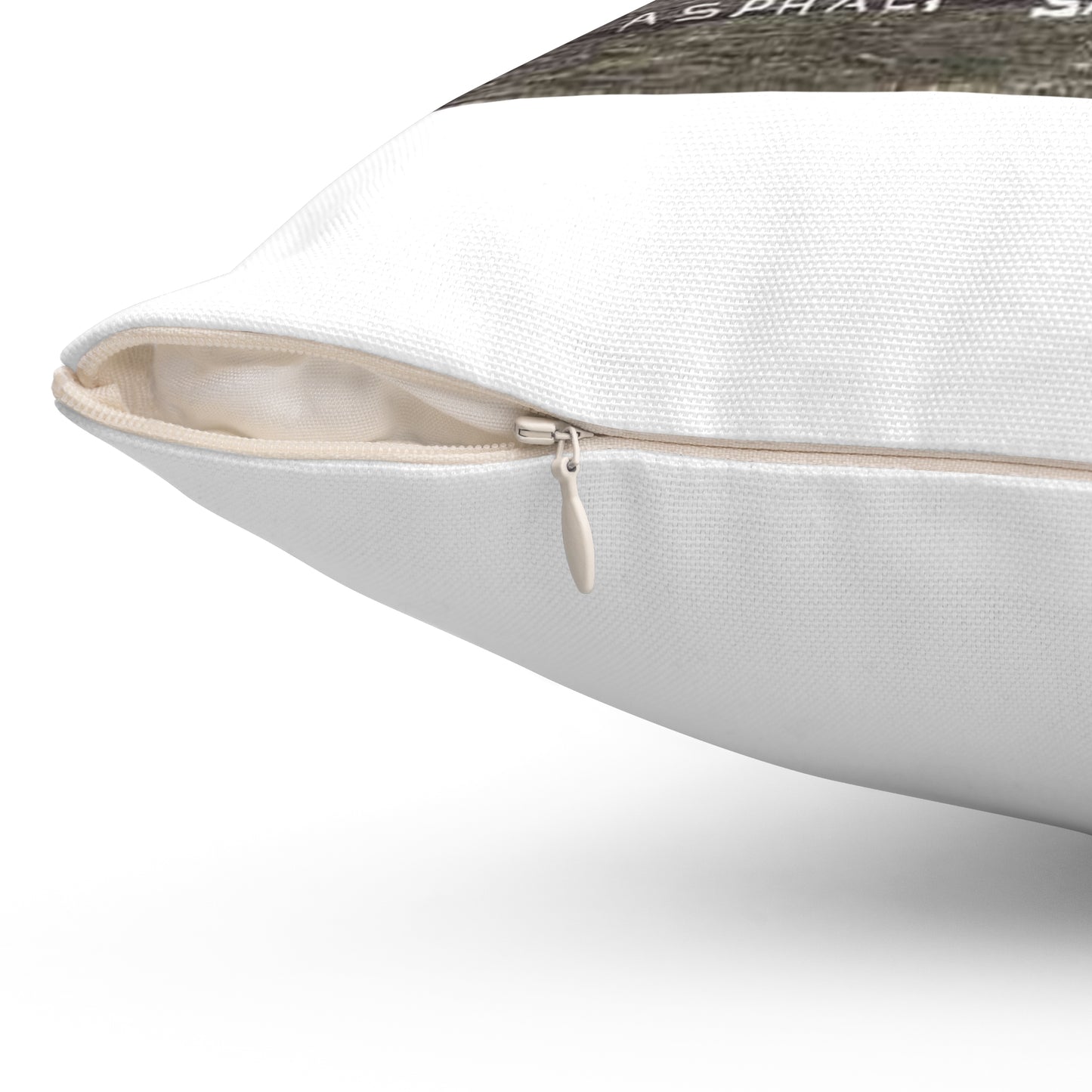 Laying Asphalt, all workers and equipment in view (NBY 10449) Decorative Accent Square Pillow