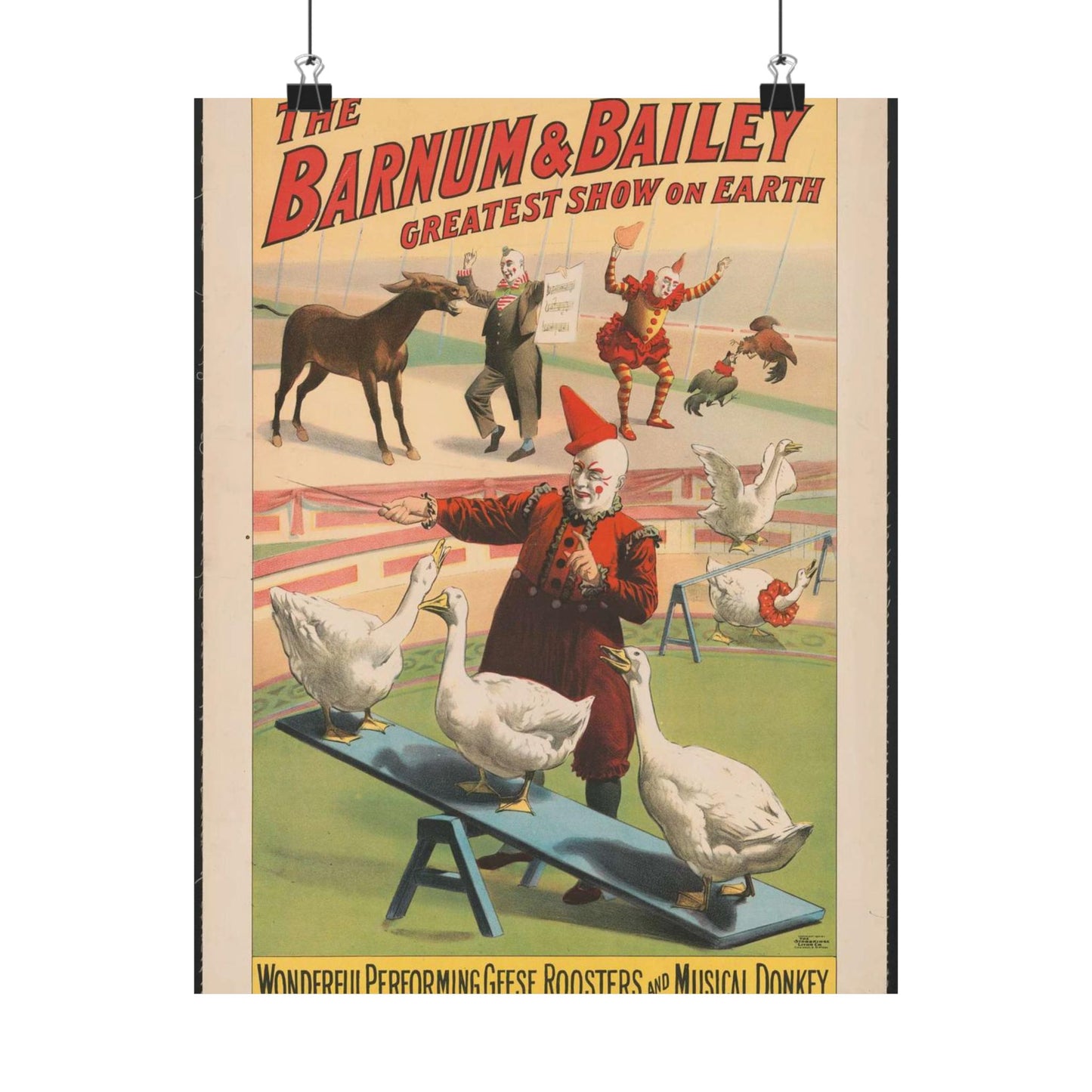 The Barnum & Bailey greatest show on earth. Wonderful performing geese, roosters and musical donkey / Strobridge Litho. Co., Cincinnati & New York. High Quality Matte Wall Art Poster for Home, Office, Classroom