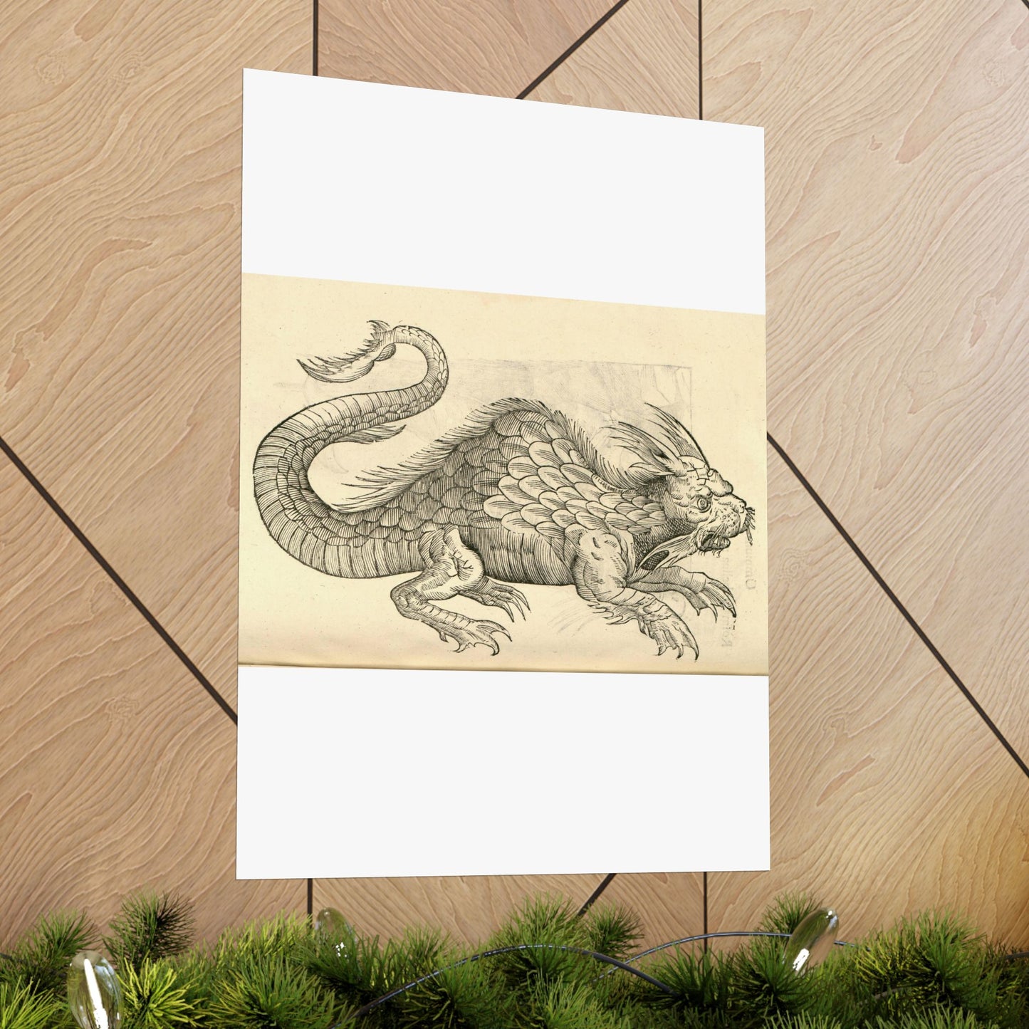 Orobonis Piscis effigies - Public domain portrait drawing  High Quality Matte Wall Art Poster for Home, Office, Classroom