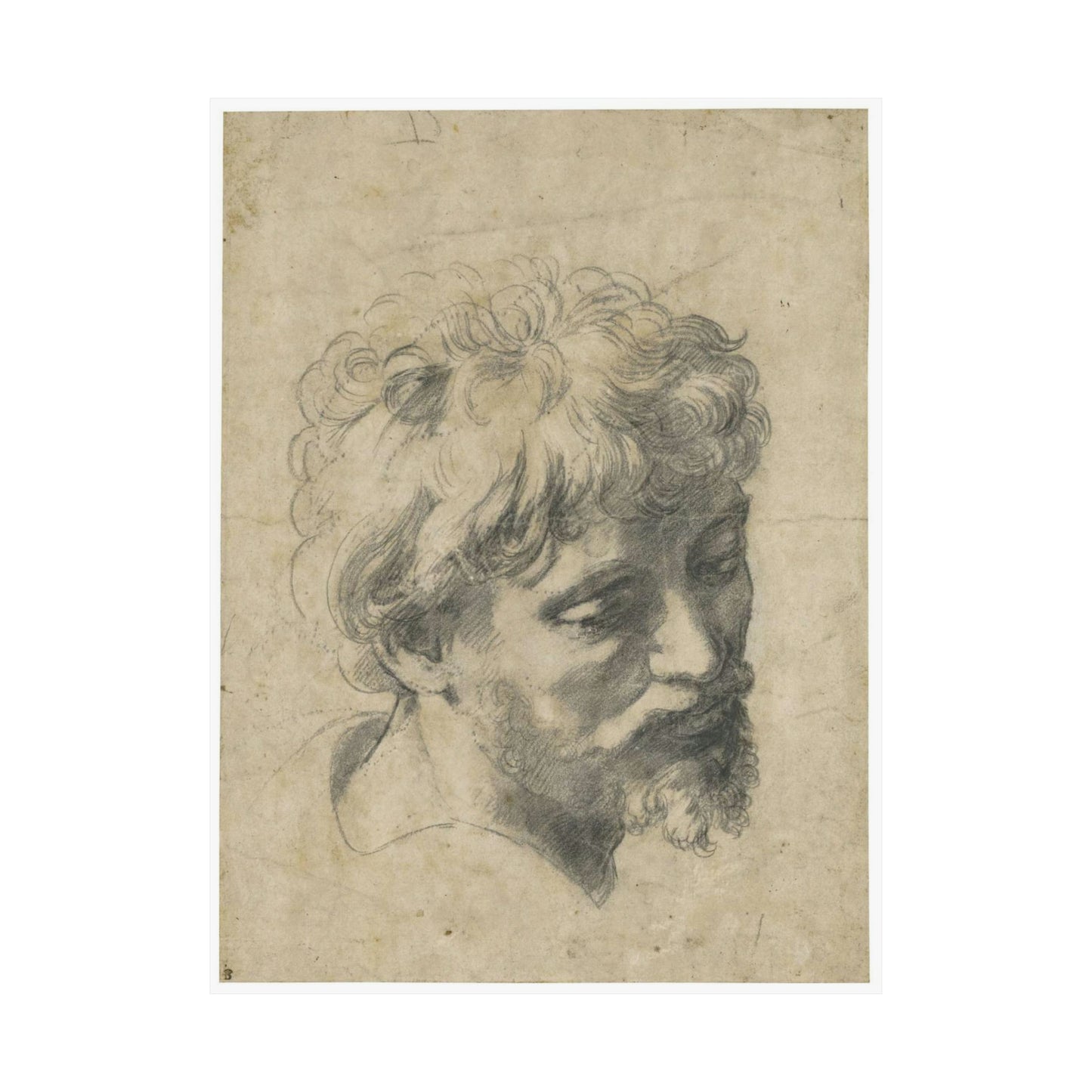 Raffaello Sanzio - Head of a Young Apostle, lot.52 High Quality Matte Wall Art Poster for Home, Office, Classroom