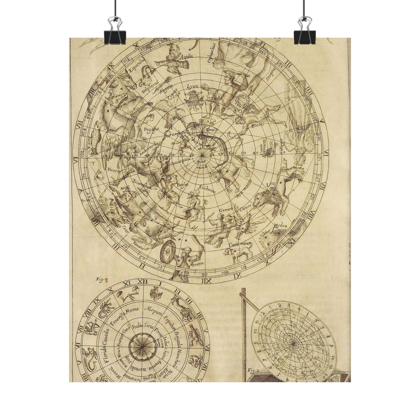 sciathericon stellarum - Drawing. Public domain image. High Quality Matte Wall Art Poster for Home, Office, Classroom