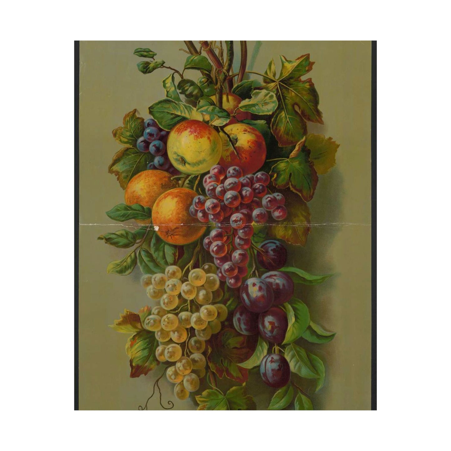 Apples, Plums & grapes, no. 8266 High Quality Matte Wall Art Poster for Home, Office, Classroom