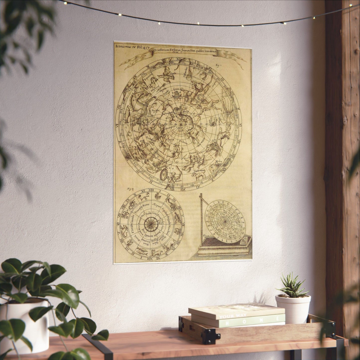 sciathericon stellarum - Drawing. Public domain image. High Quality Matte Wall Art Poster for Home, Office, Classroom