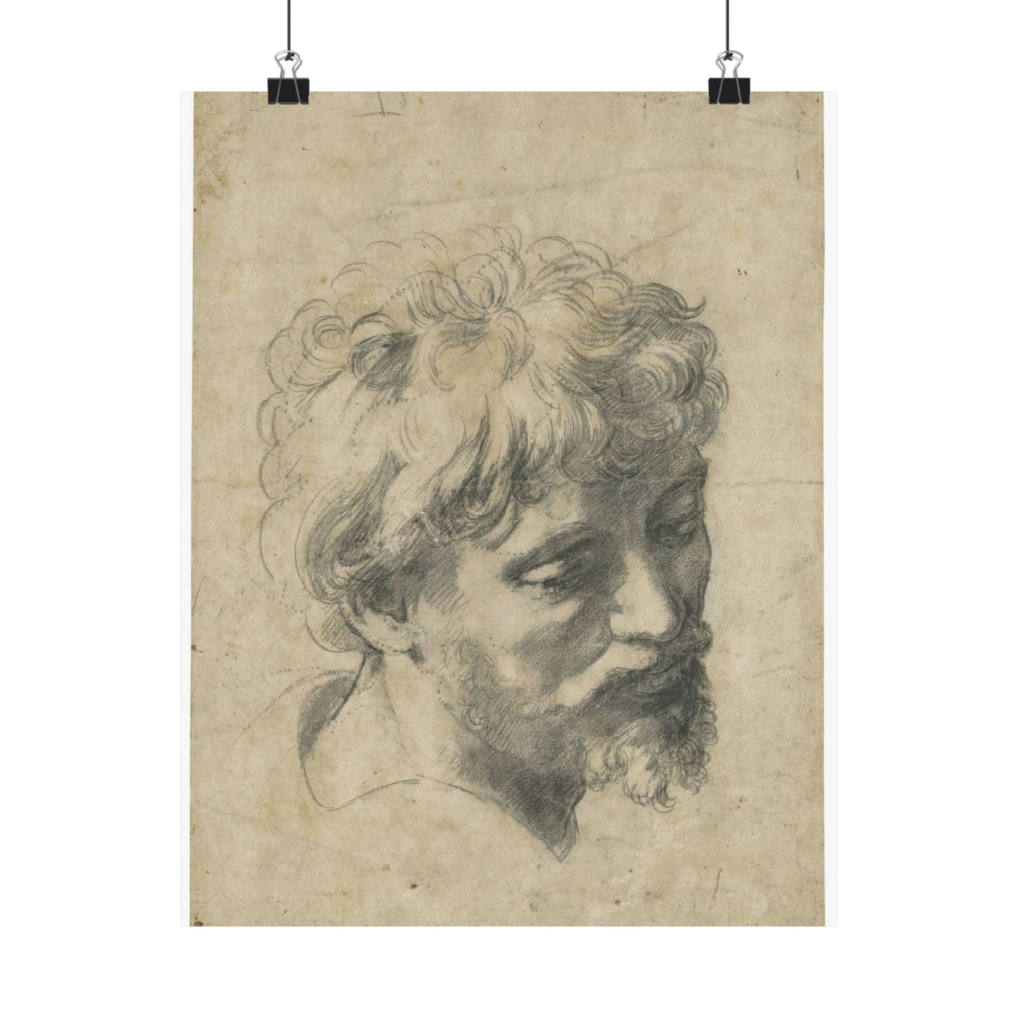 Raffaello Sanzio - Head of a Young Apostle, lot.52 High Quality Matte Wall Art Poster for Home, Office, Classroom