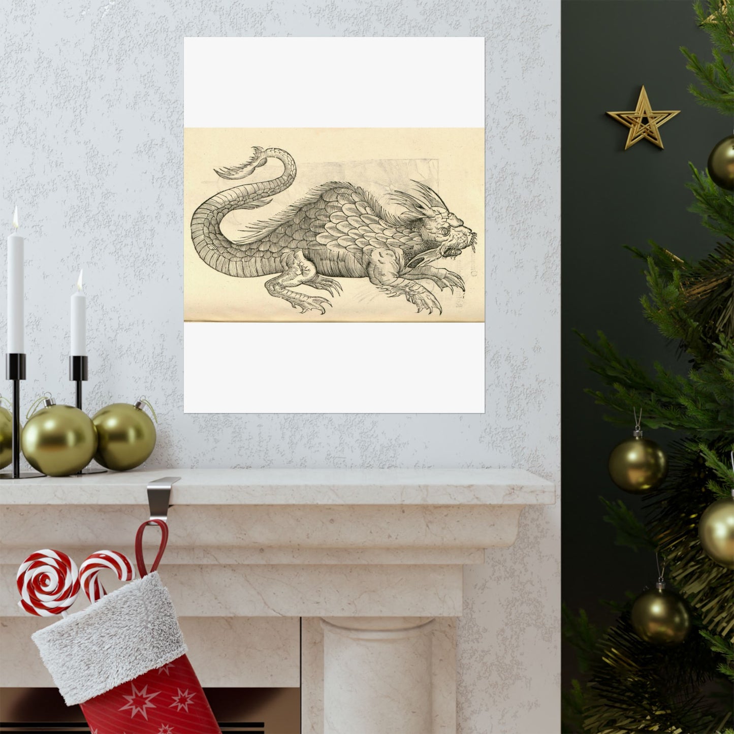 Orobonis Piscis effigies - Public domain portrait drawing  High Quality Matte Wall Art Poster for Home, Office, Classroom