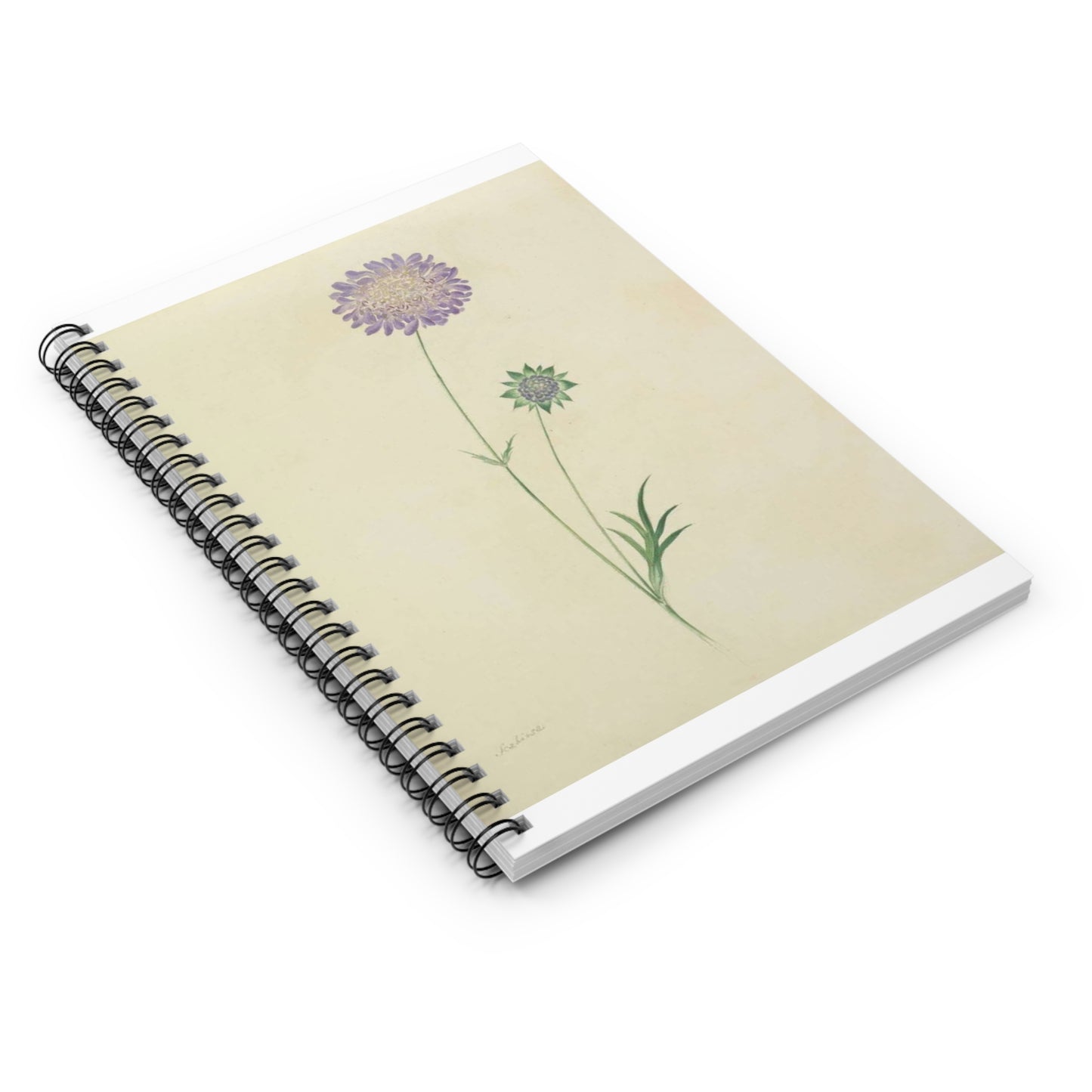 Scabiosa by Lydia Penrose Spiral Bound Ruled Notebook with Printed Cover