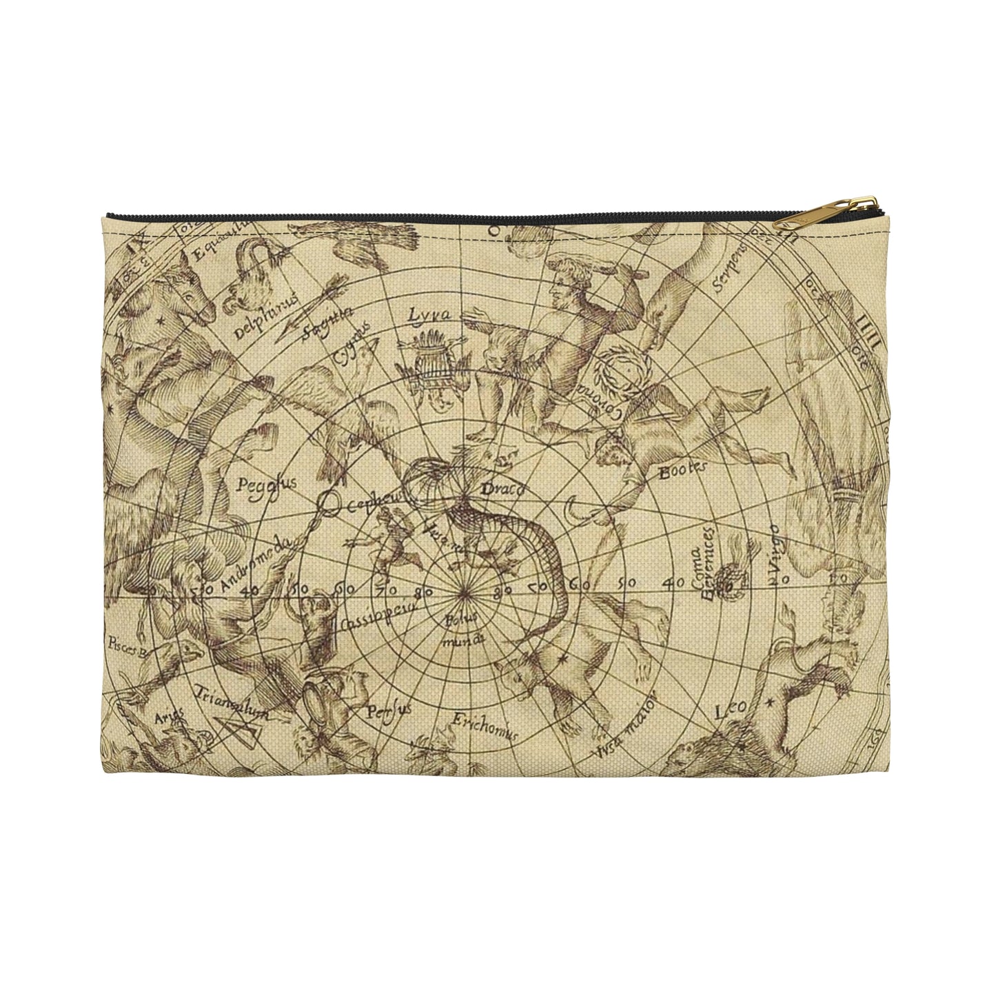 sciathericon stellarum - Drawing. Public domain image. Large Organizer Pouch with Black Zipper