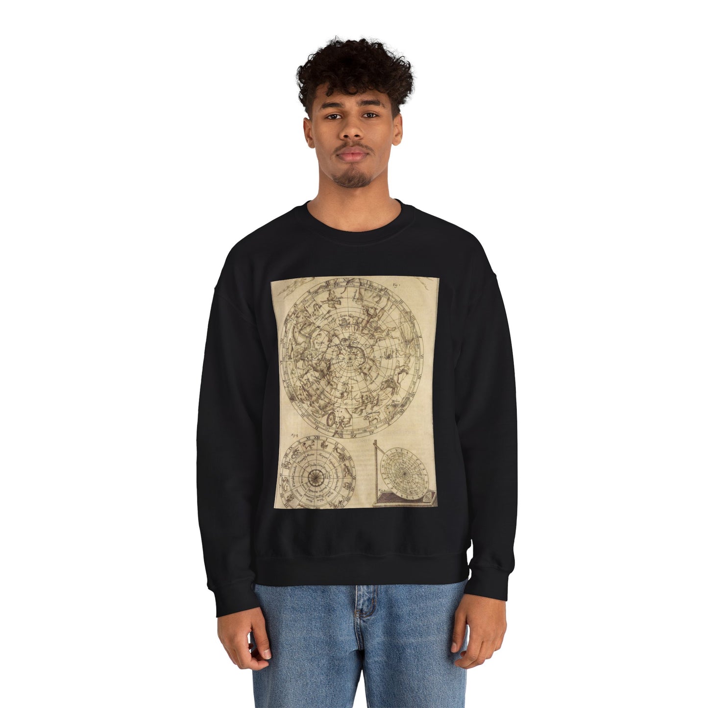 sciathericon stellarum - Drawing. Public domain image. Black Heavy Blend Adult Crew Neck SweatShirt