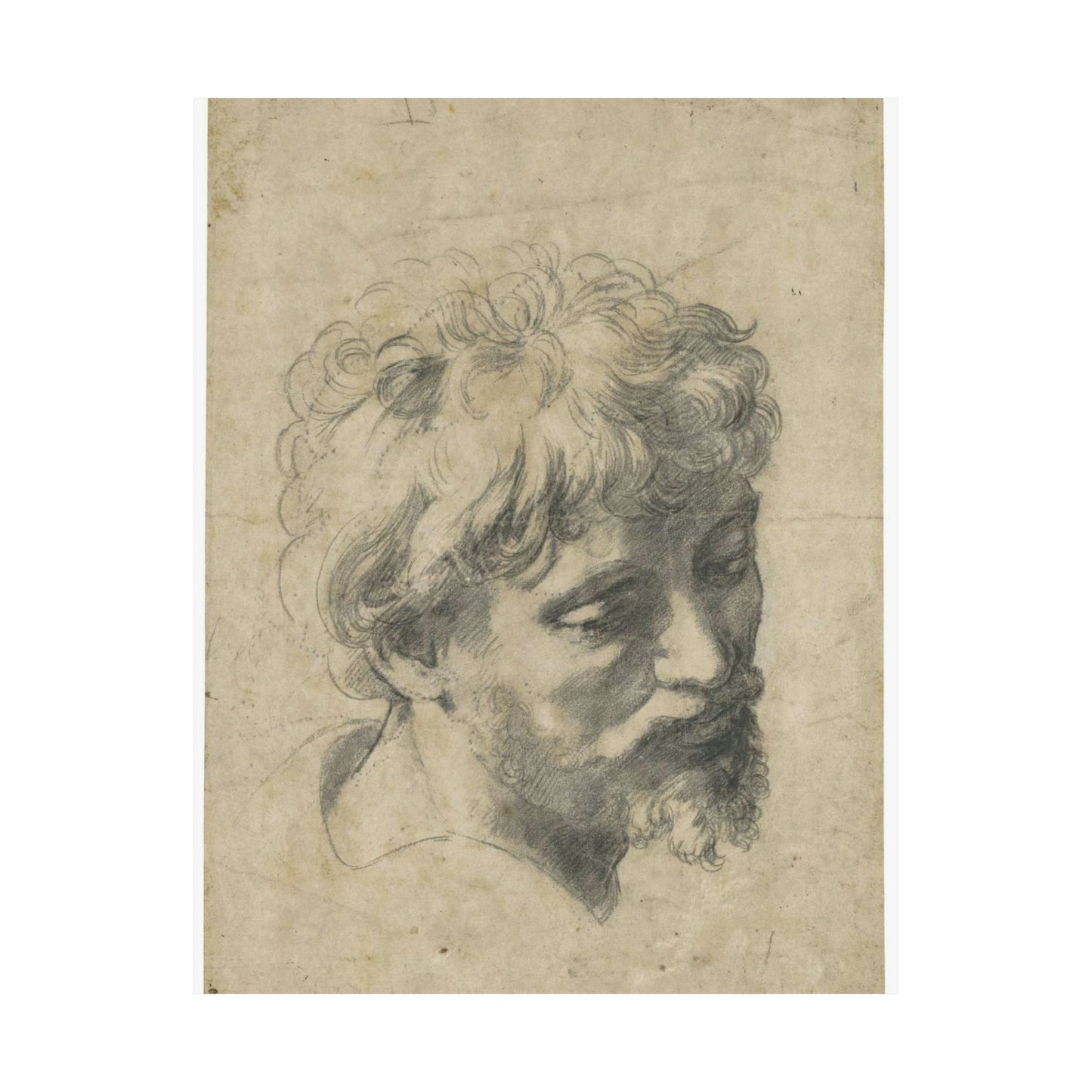 Raffaello Sanzio - Head of a Young Apostle, lot.52 High Quality Matte Wall Art Poster for Home, Office, Classroom