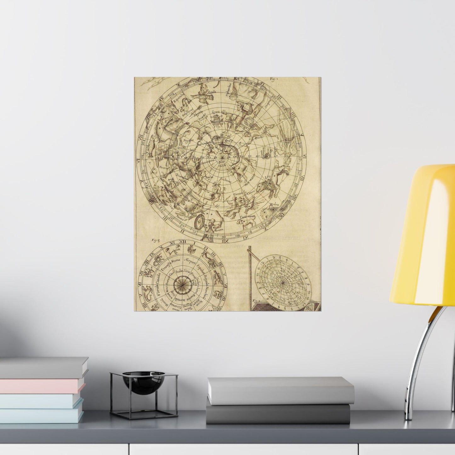 sciathericon stellarum - Drawing. Public domain image. High Quality Matte Wall Art Poster for Home, Office, Classroom