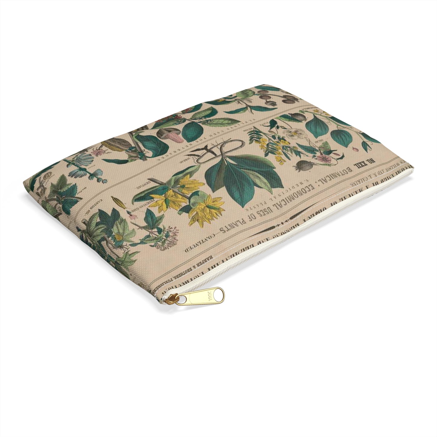 School and family charts, accompanied by a manual of object lessons and elementary instruction, by Marcius Willson and N.A. Calkins. No. XXII. Botanical: economical uses of plants-continued Large Organizer Pouch with Black Zipper