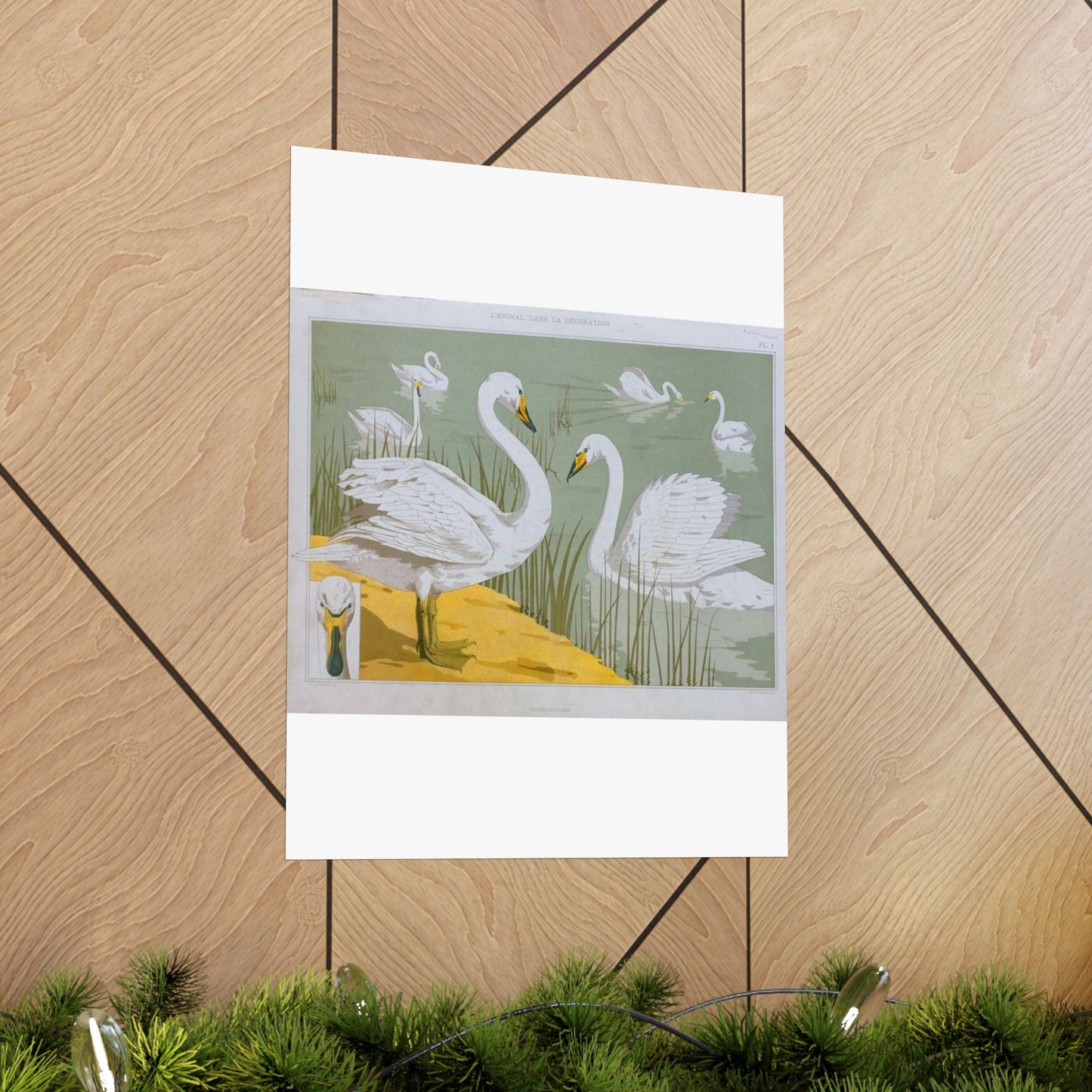 Cygne sauvage - Art nouveau public domain image High Quality Matte Wall Art Poster for Home, Office, Classroom