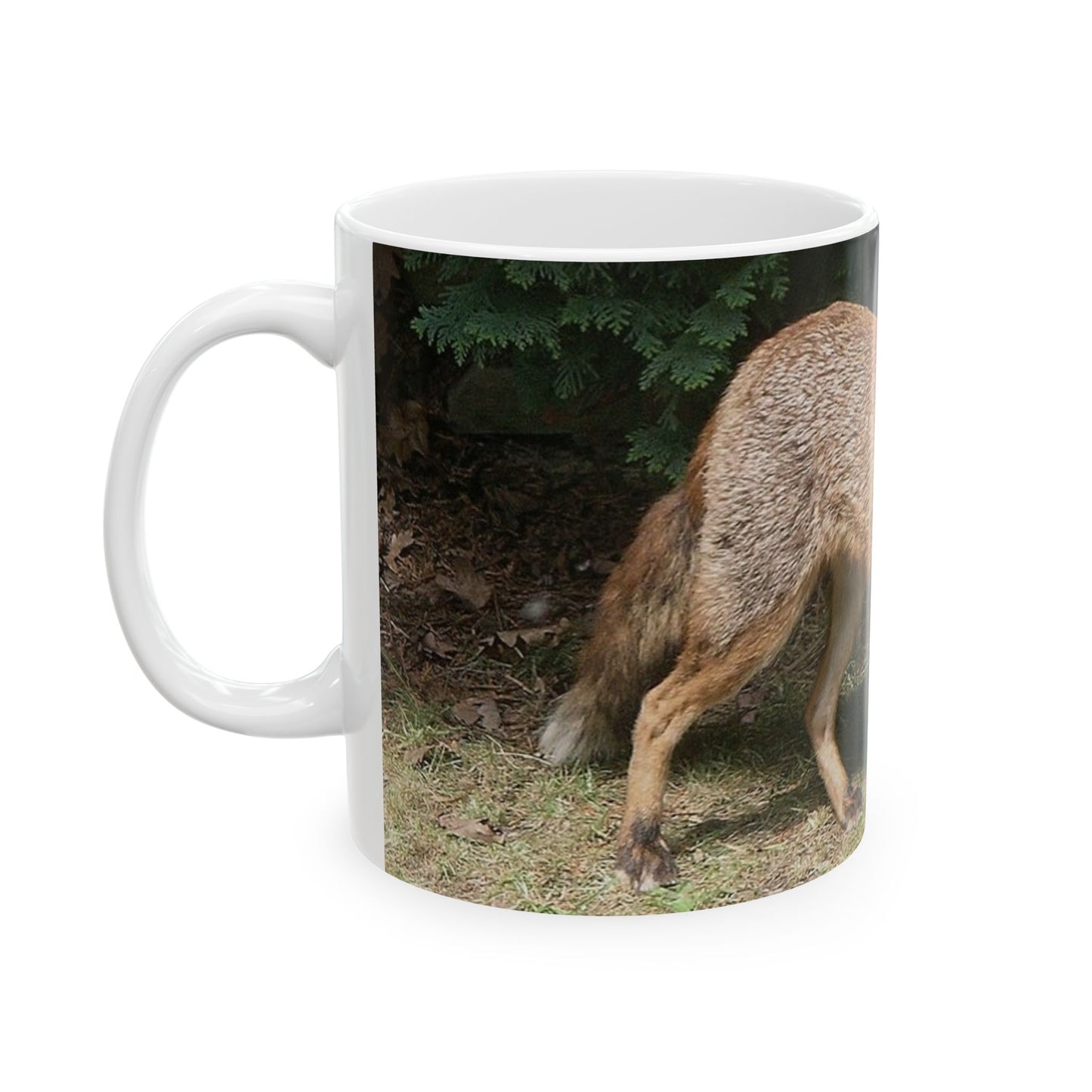 A fox standing on a sidewalk next to a bush. Fox animal wildlife, animals. Beautiful Novelty Ceramic Coffee Mug 11oz