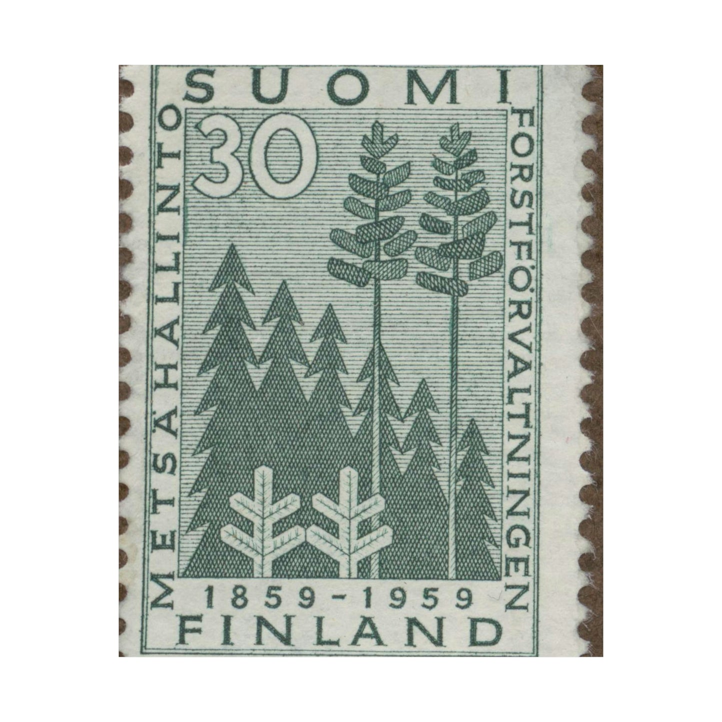 Frimärke ur Gösta Bodmans filatelistiska motivsamling, påbörjad 1950.Frimärke från Finland, 1959. Motiv av stiliserad gran och tall. "Forstförvaltningen 100 år: 1859-1959". High Quality Matte Wall Art Poster for Home, Office, Classroom