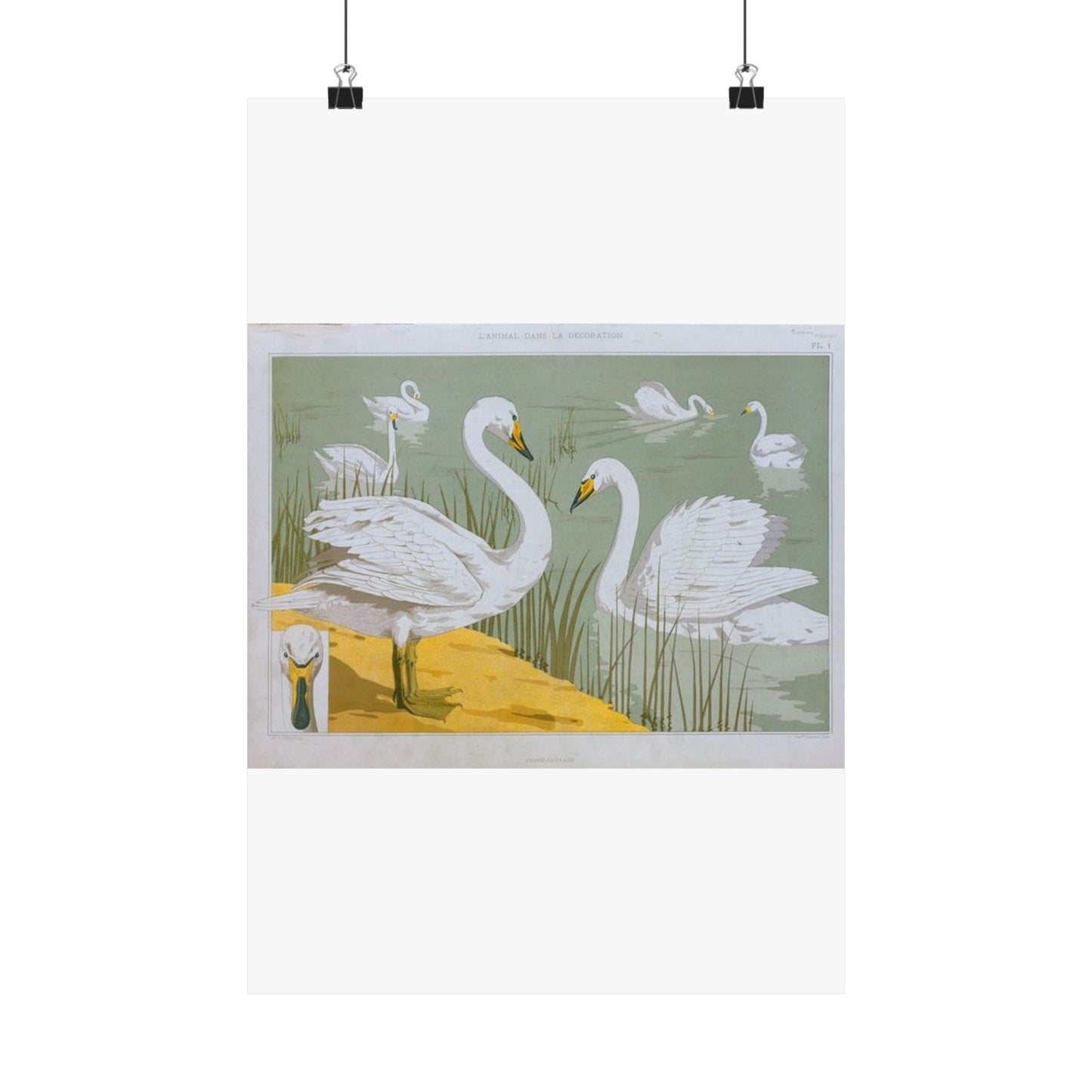 Cygne sauvage - Art nouveau public domain image High Quality Matte Wall Art Poster for Home, Office, Classroom